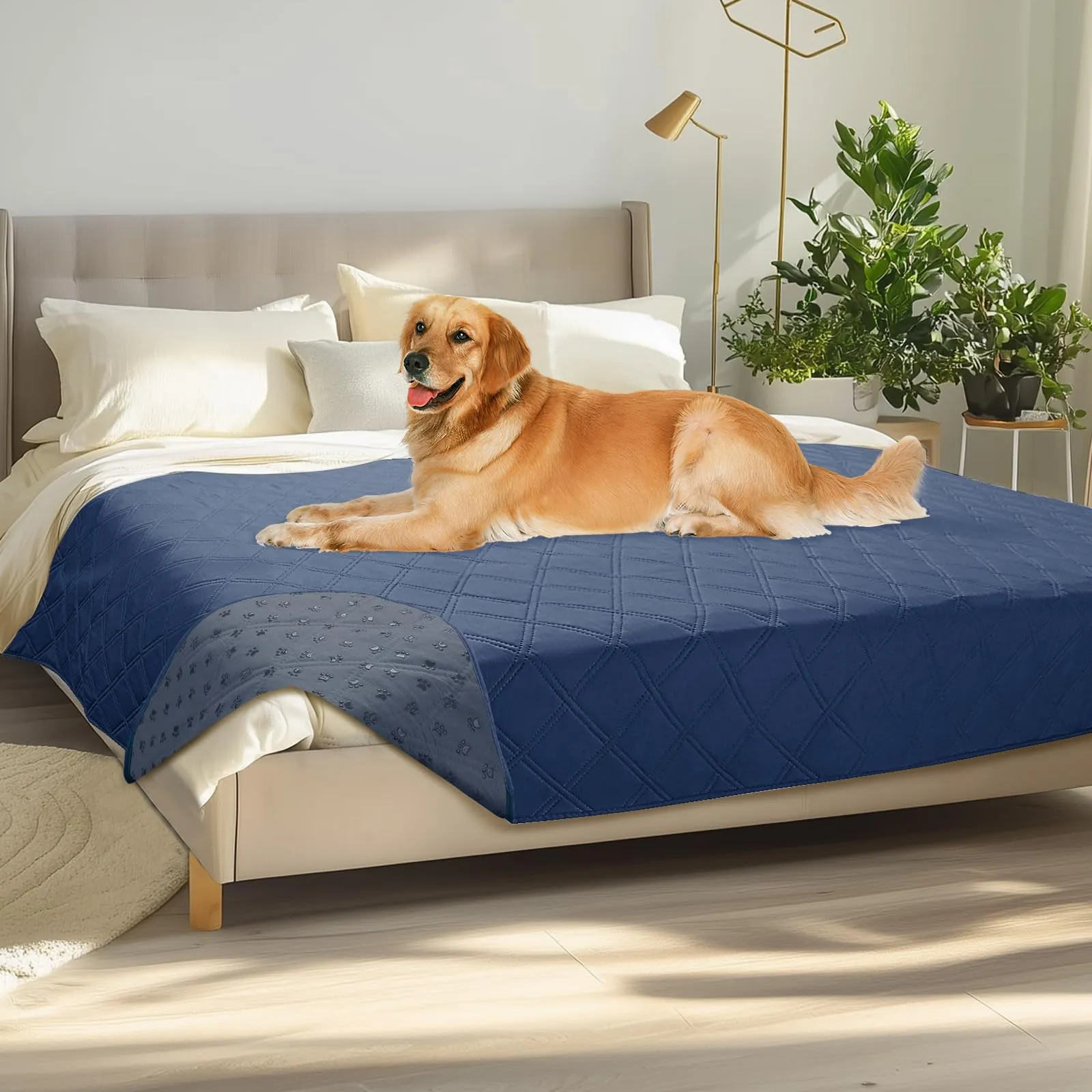 luciphia Copridivano per Cani Impermeabile con Punti Antiscivolo, Blu Marino 173x208cm - immagine 1