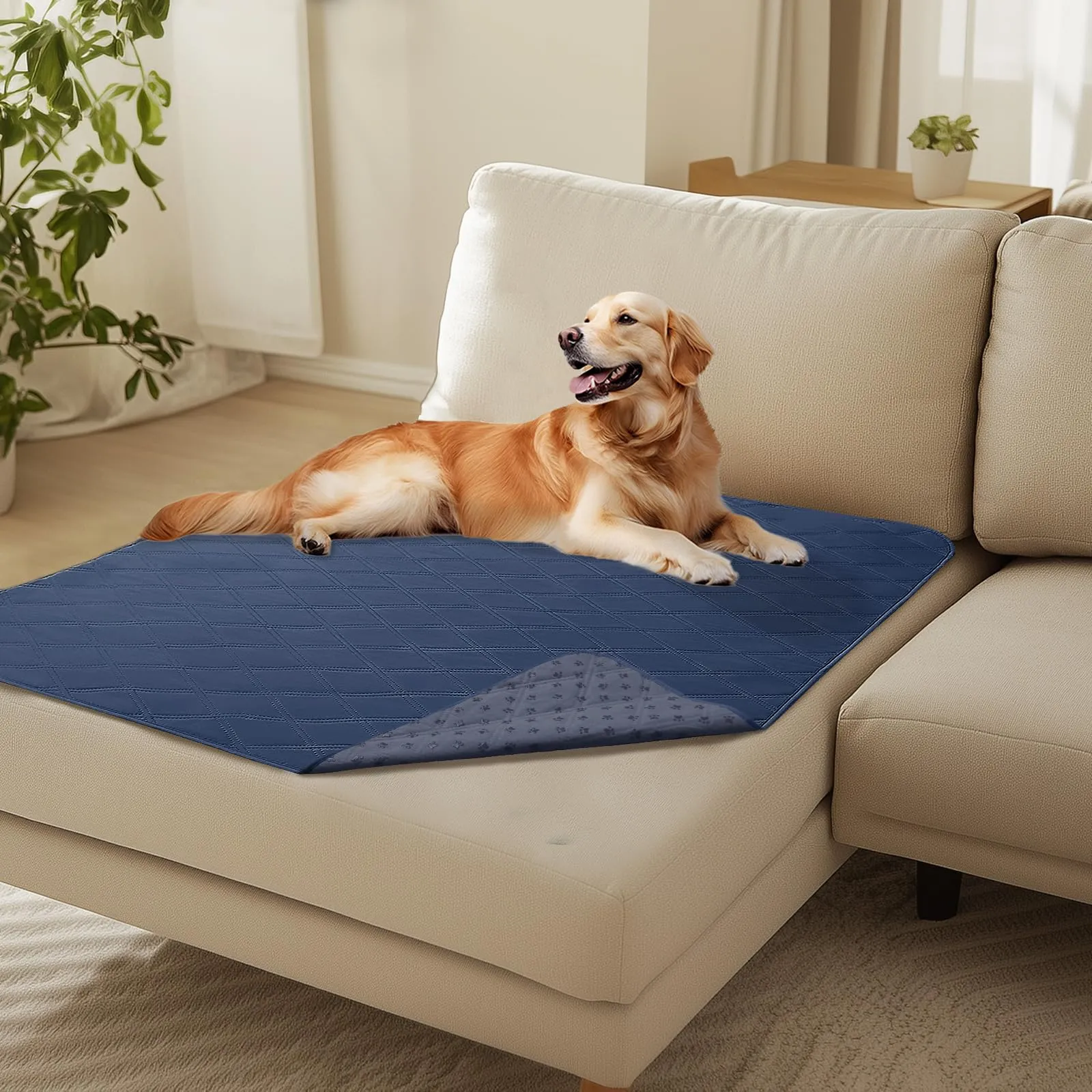 luciphia Copridivano Impermeabile per Cani e Gatti, Blu Marino, 101 x 127 cm - immagine 1