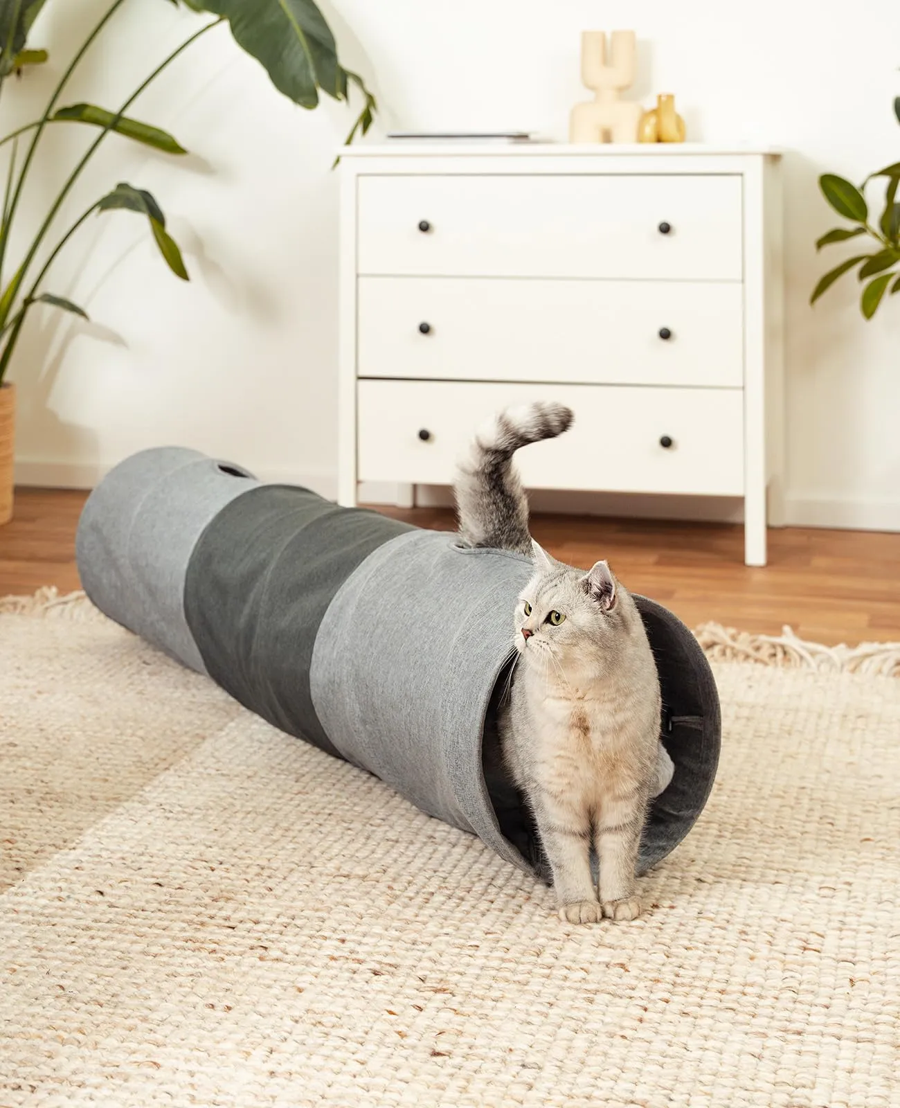 lionto Tunnel per Gatti con Pallina, Pieghevole ed Espandibile, 30x130 cm - immagine 2