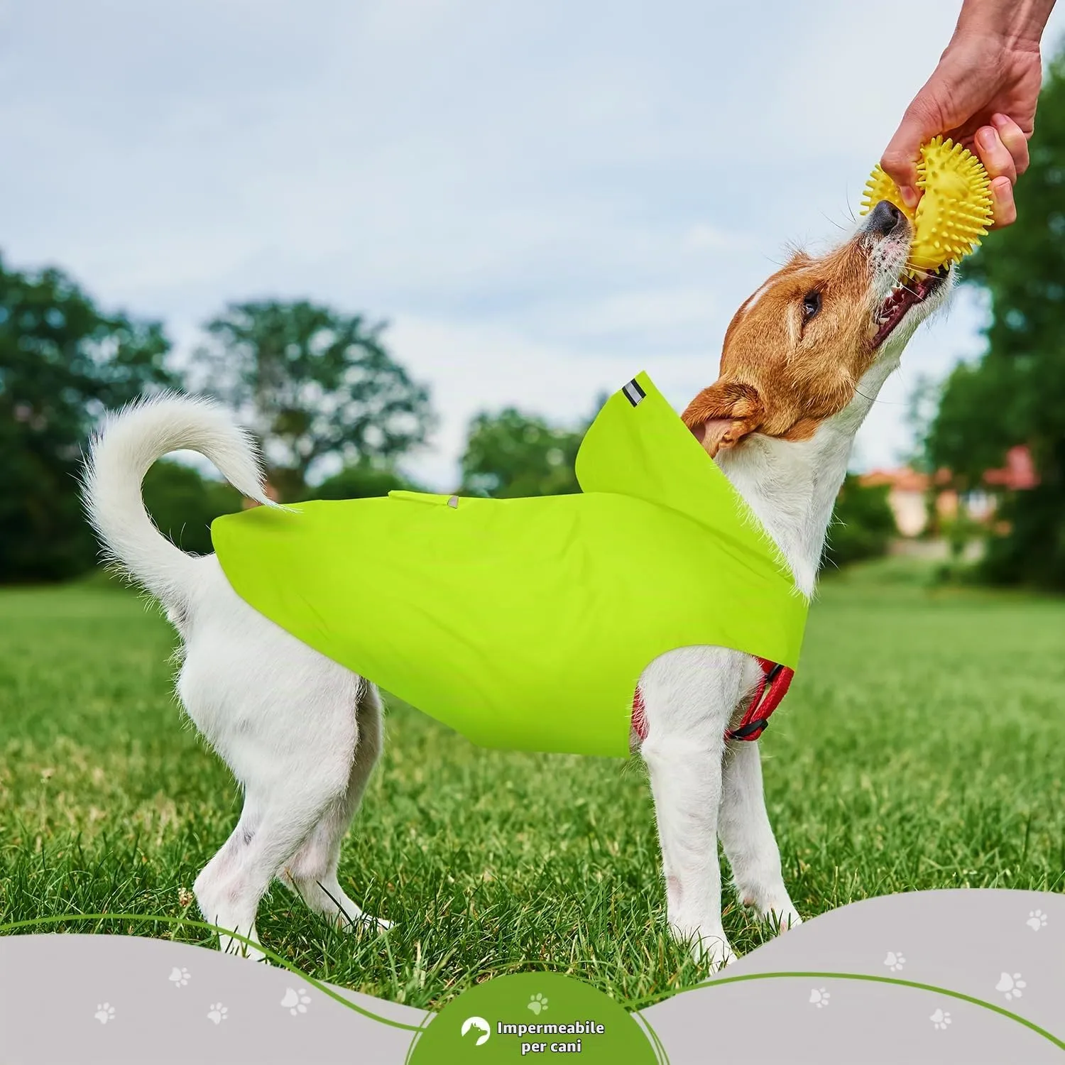 Zellar Impermeabile per Cani con Cappuccio, Foro per Colletto e Strisce Riflettenti, Taglia Media Large - immagine 6