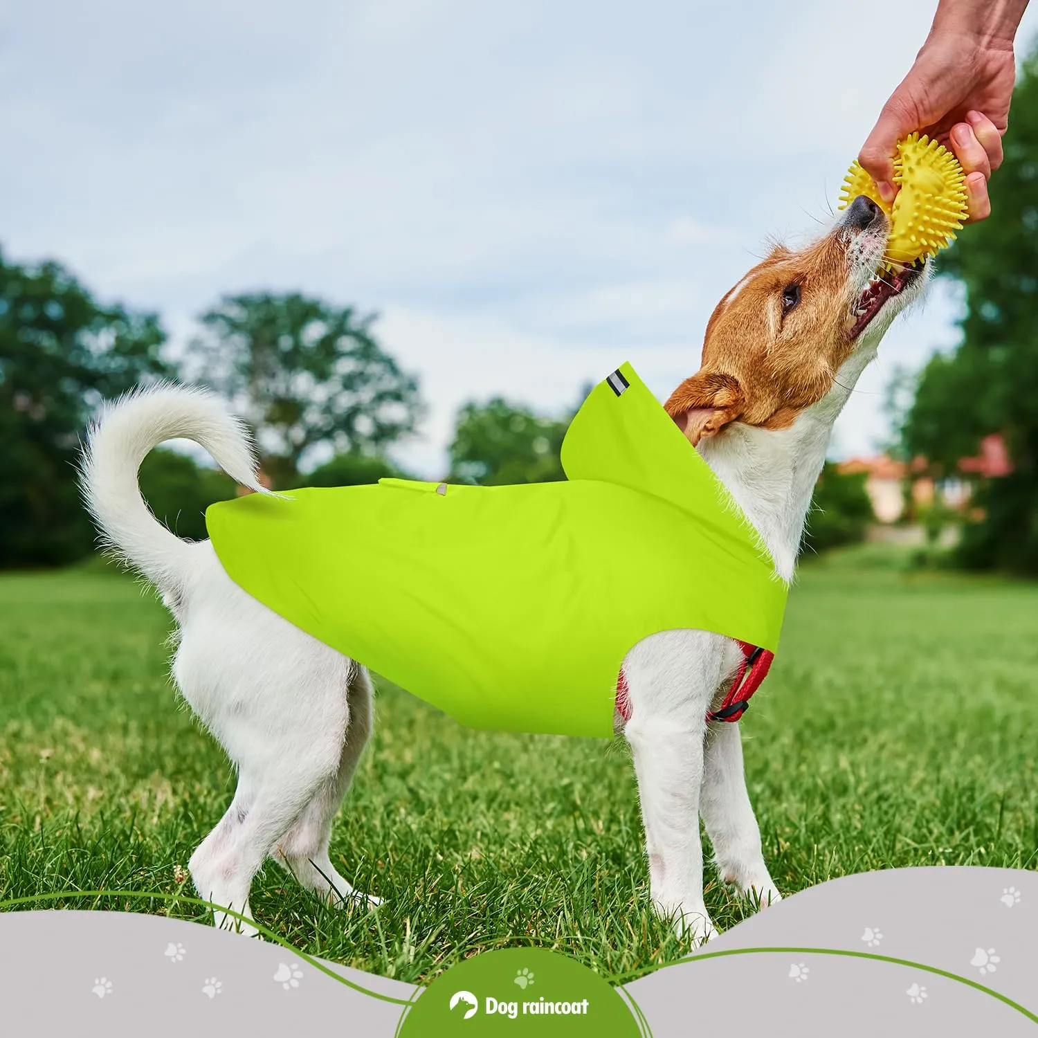 Zellar Impermeabile per Cani con Cappuccio, Foro per Colletto e Strisce Riflettenti, Taglia 6XL - immagine 6
