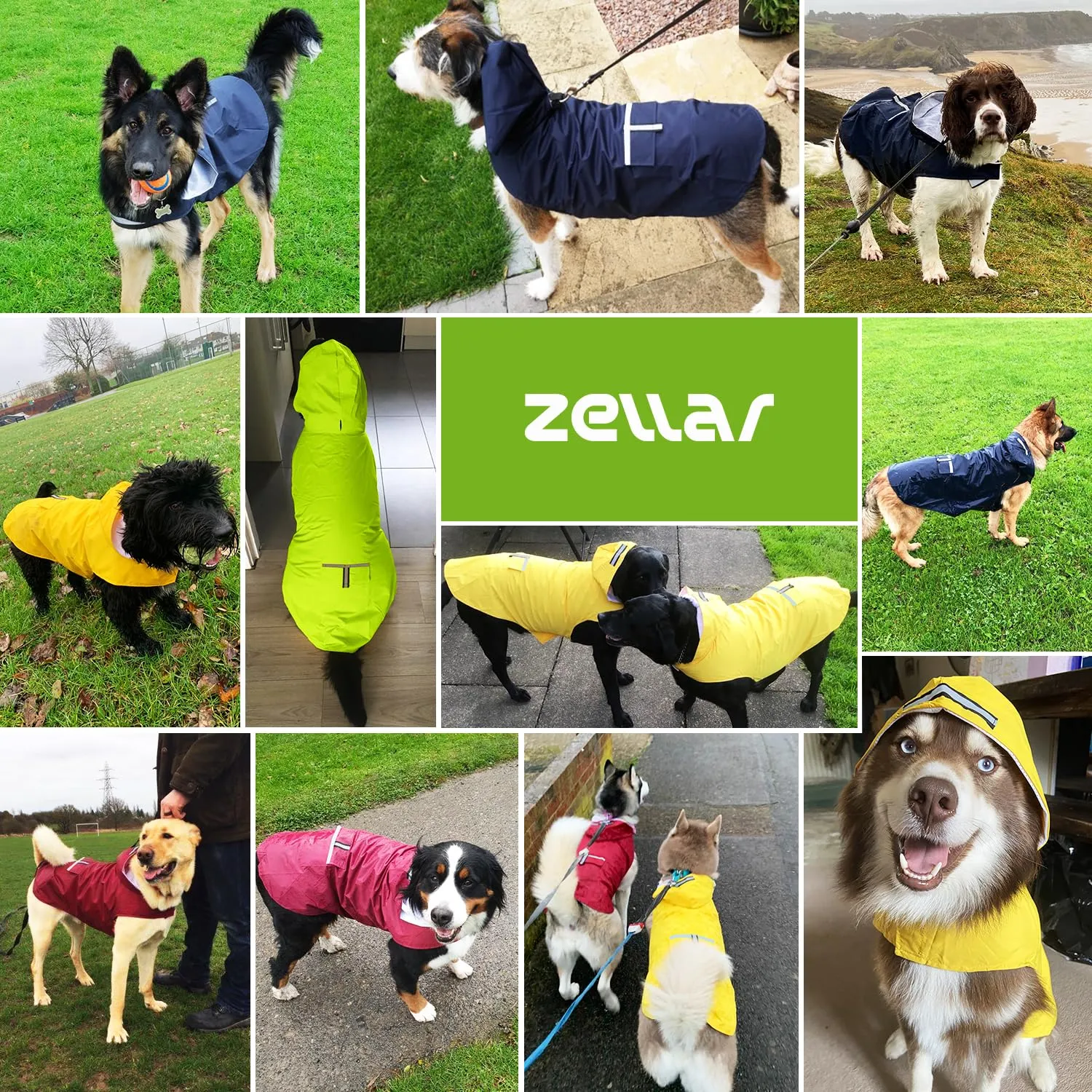 Zellar Impermeabile per Cani con Cappuccio, Foro per Colletto e Strisce Riflettenti, Taglia 6XL - immagine 7