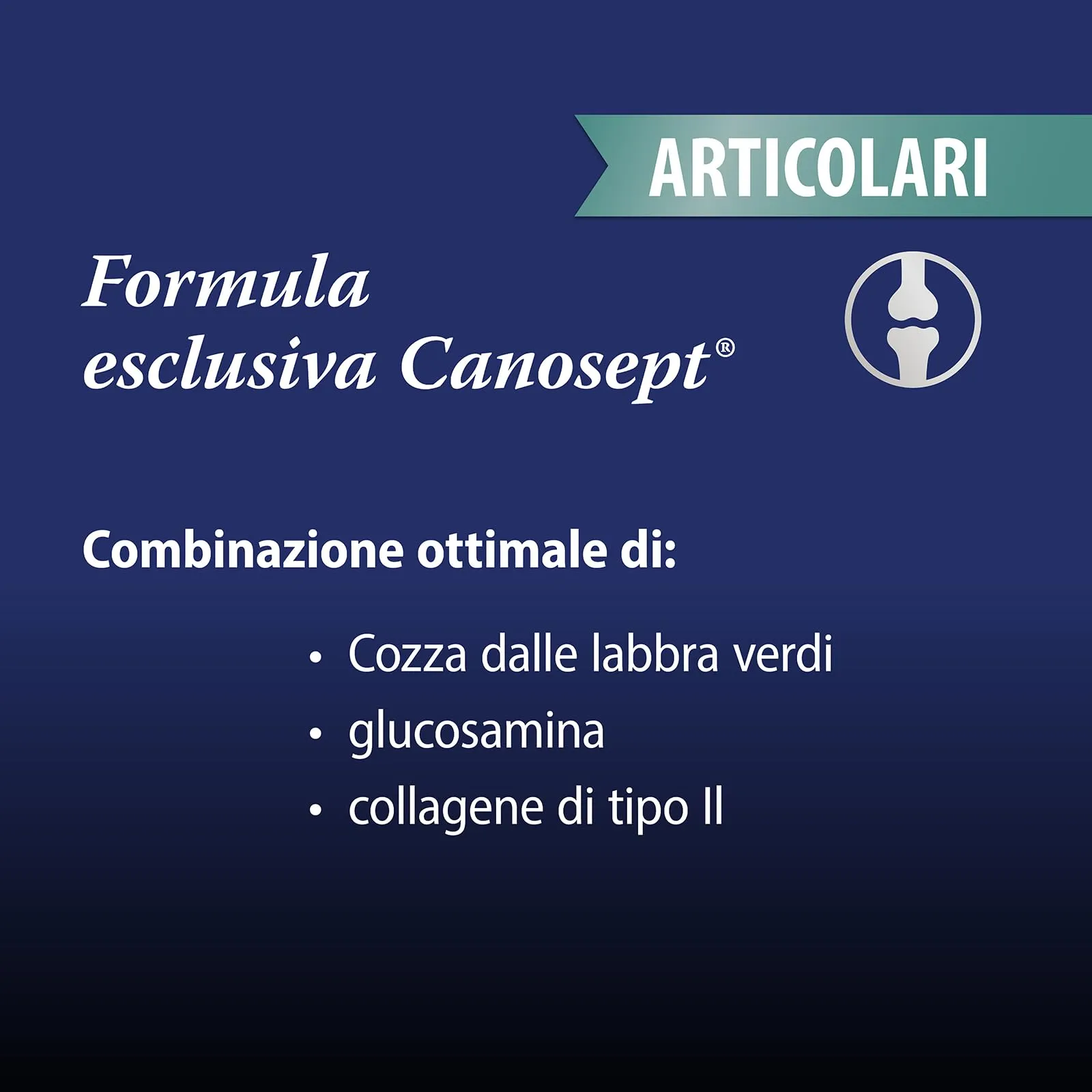 Canosept Compresse per Articolazioni Cane Joint Care con Cozze dalle Labbra Verdi, Glucosamina e Omega 3 - 20 Compresse - immagine 3