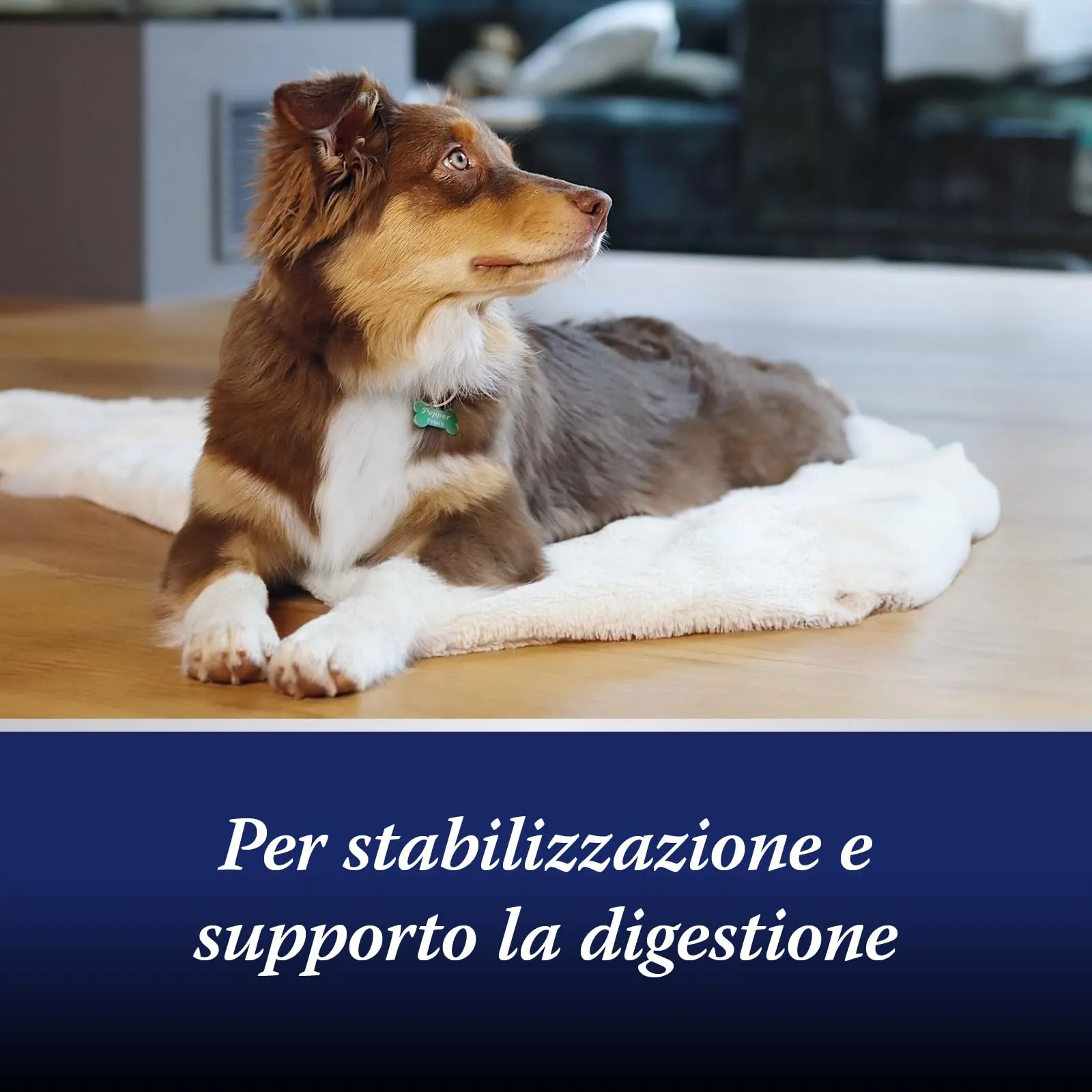 Canosept Flora Intestinale Cane Probiotici e Prebiotici con Enzimi Digestivi, 30 compresse - immagine 4
