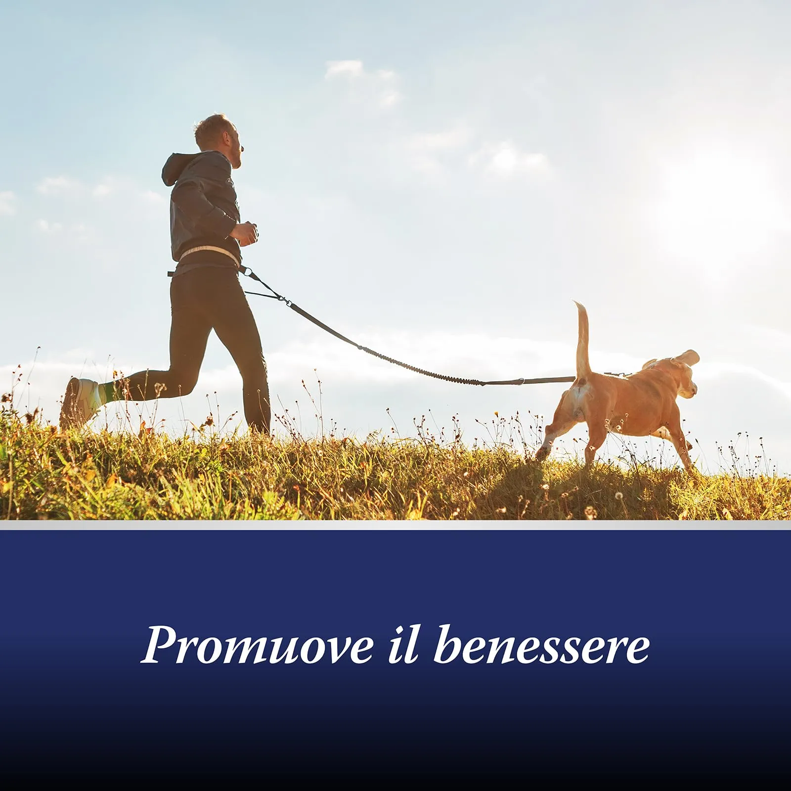 Canosept Joint Care Compresse per Articolazioni Cane, con Cozze dalle Labbra Verdi, Glucosamina e Omega 3, 80 Compresse - immagine 5