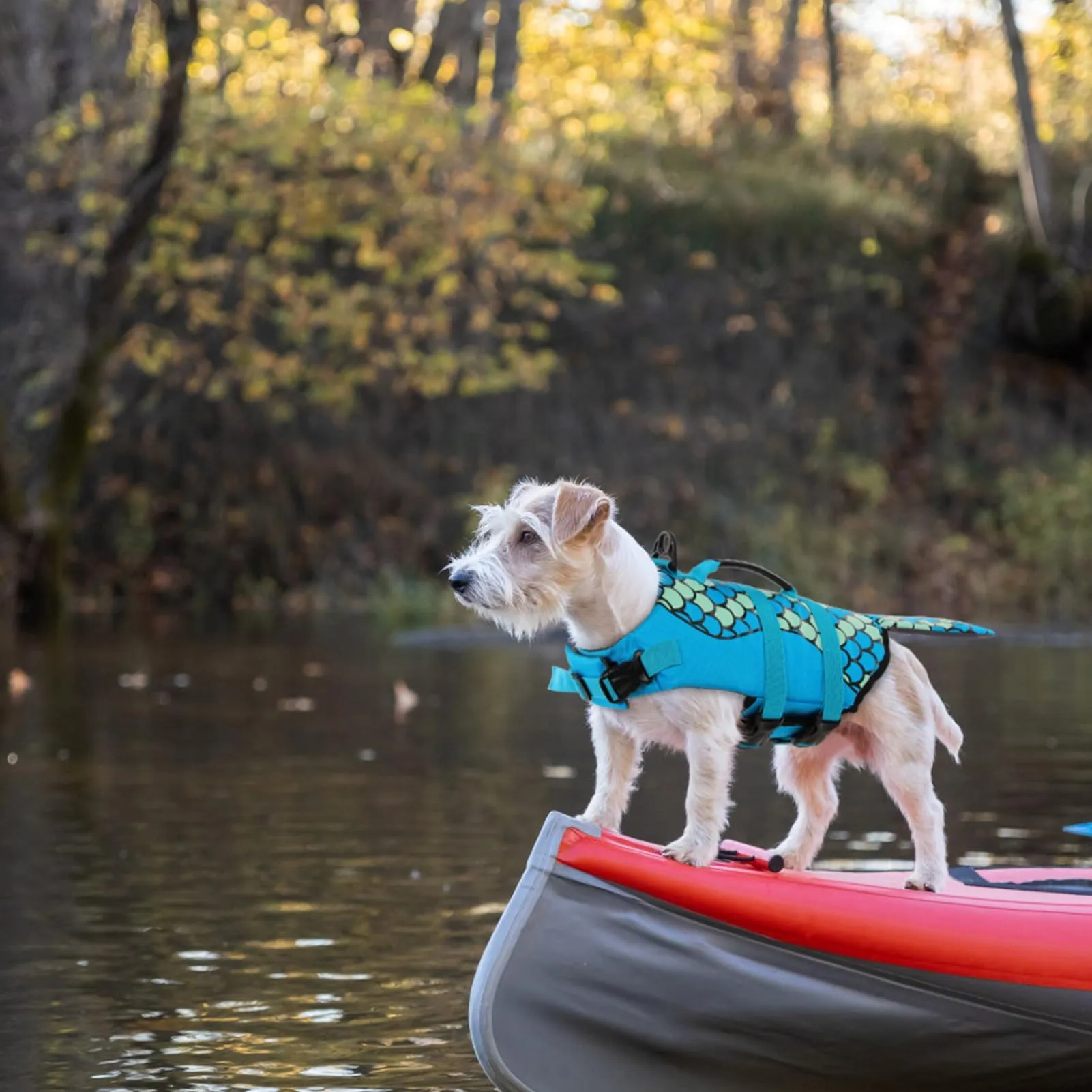 CITÉTOILE Giubbotto di Salvataggio per Cani a forma di Sirena con Manico, Blu, XXL - immagine 5