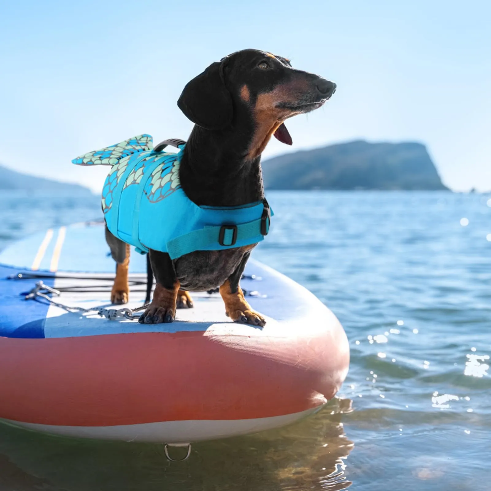 CITÉTOILE Giubbotto di Salvataggio per Cani a forma di Sirena con Manico, Blu, XXL - immagine 7