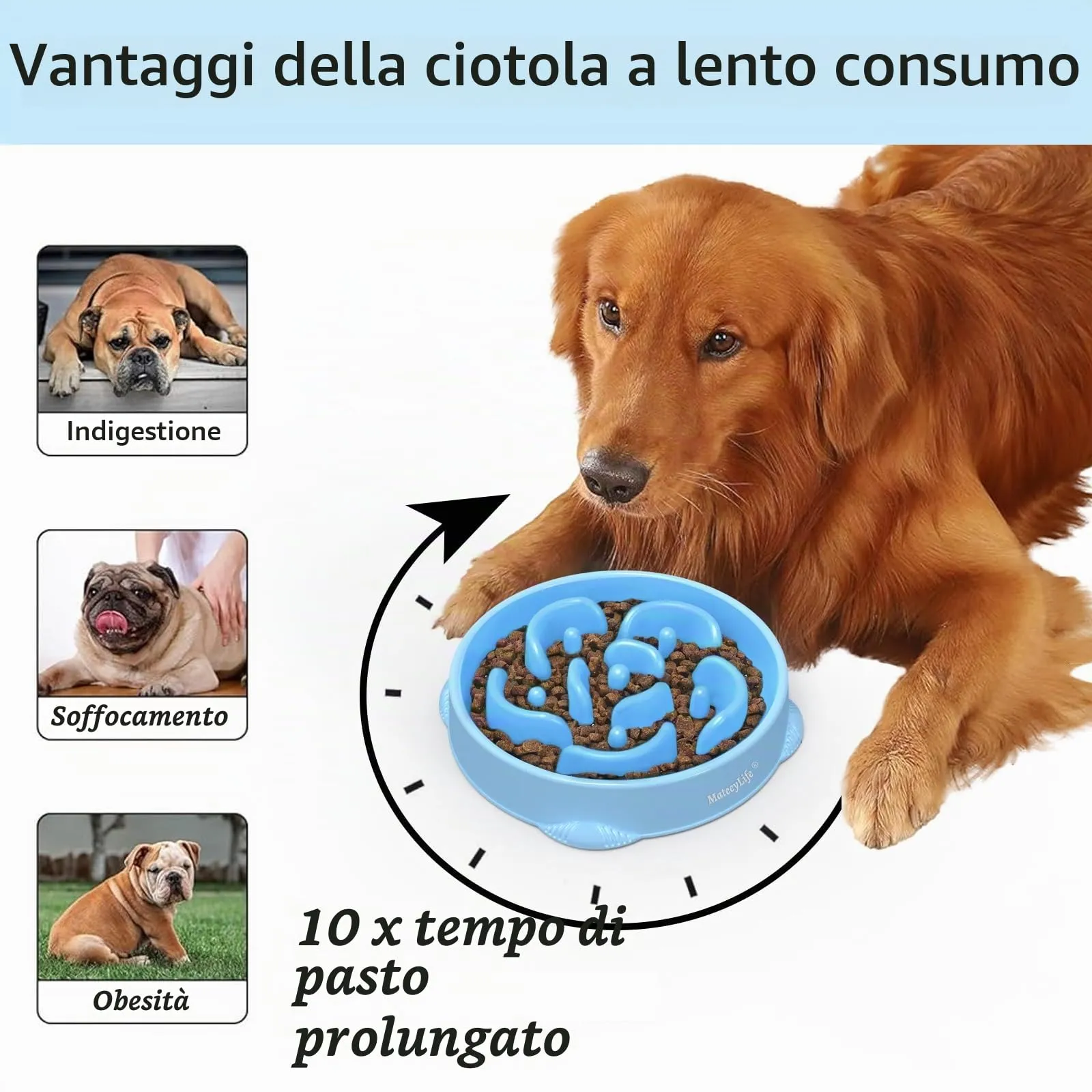 MateeyLife Ciotola Anti Ingozzamento per Cani Taglia Media e Grande, 2 Pezzi, 26,5 cm (Azzurro Chiaro & Blu Scuro) - immagine 2