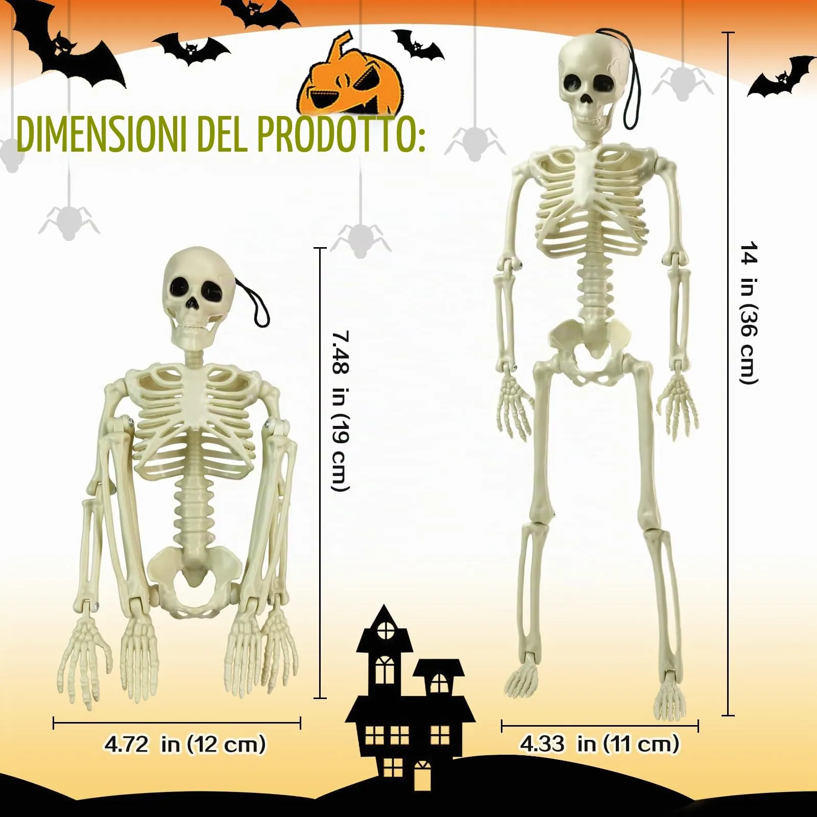 EVOTECH SCIENTIFIC Piccolo Modello Di Scheletro Umano, 5 Pezzi - immagine 3