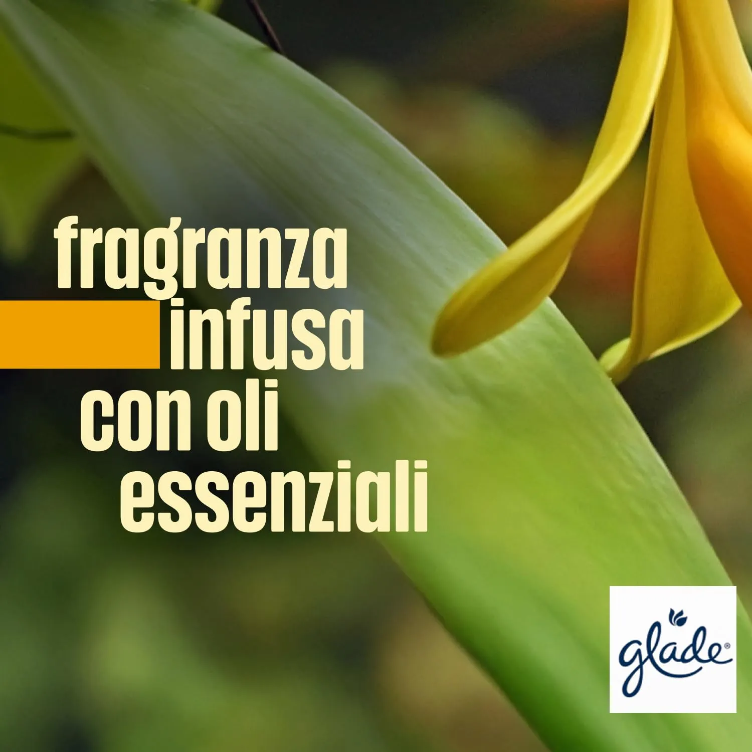Glade Liquido Elettrico Profumatore per Ambienti Vaniglia, 1 Base e 3 Ricariche - immagine 8