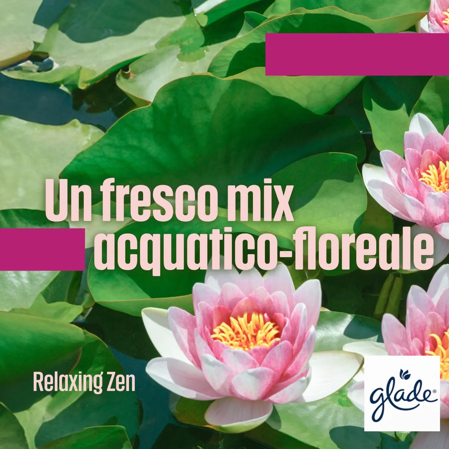 Glade Liquido Elettrico Profumatore per Ambienti, Relaxing Zen, 3 Ricariche - immagine 3