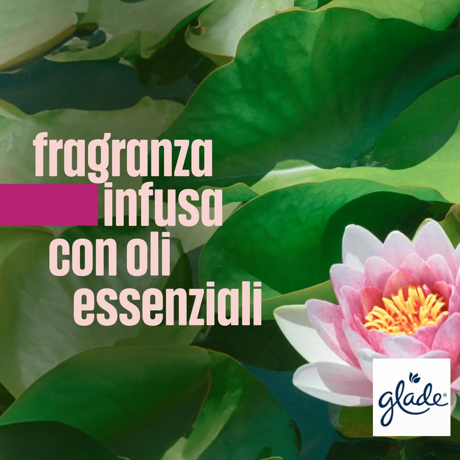 Glade Liquido Elettrico Profumatore per Ambienti, Relaxing Zen, 3 Ricariche - immagine 8