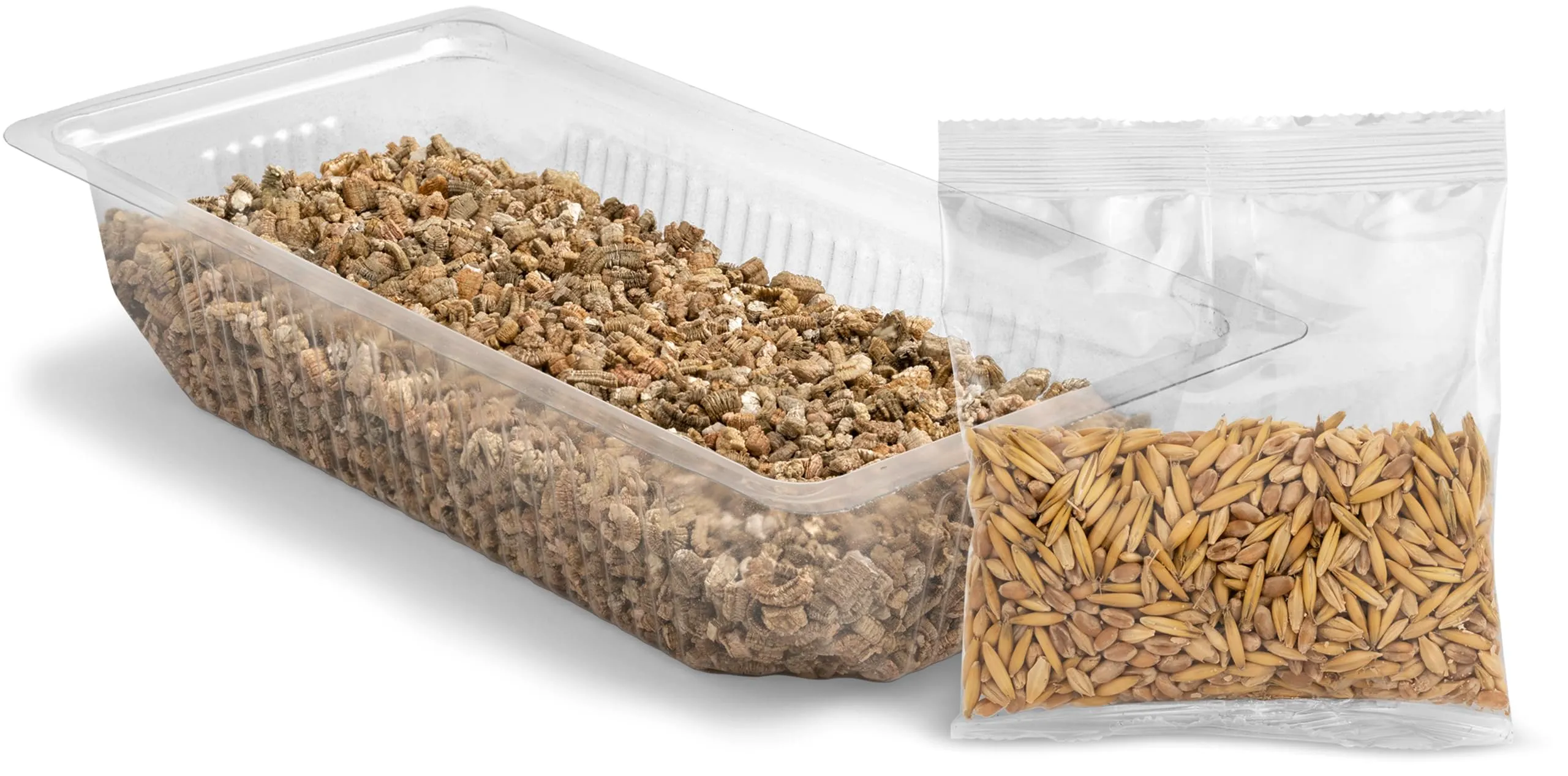 Vitakraft Cat Grass, Miscela di Semi Erba Gatta con Vitamine e Minerali, 120g - immagine 3