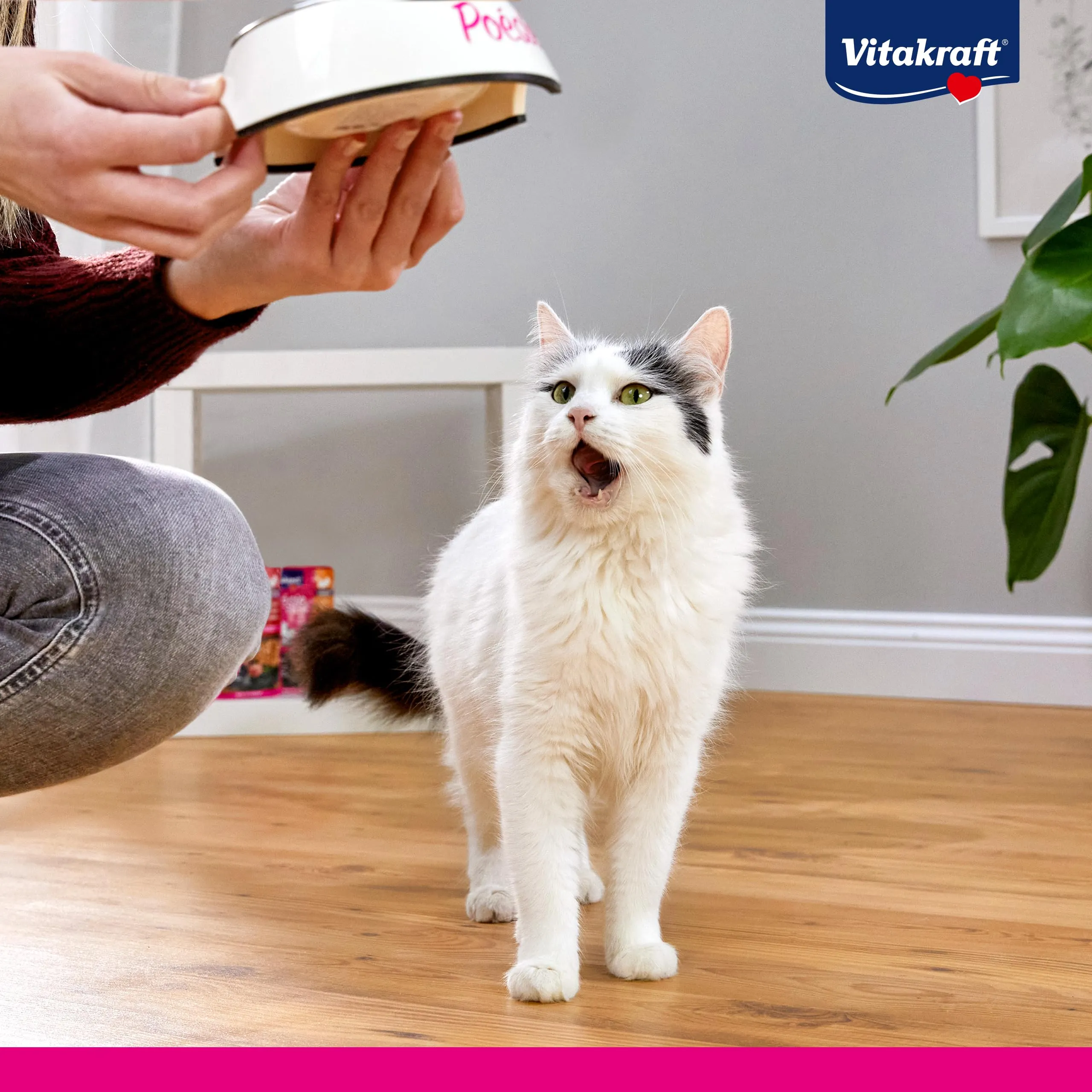 Vitakraft Poésie Gatto Cibo Umido Multipack Cuore 6x85g - immagine 7