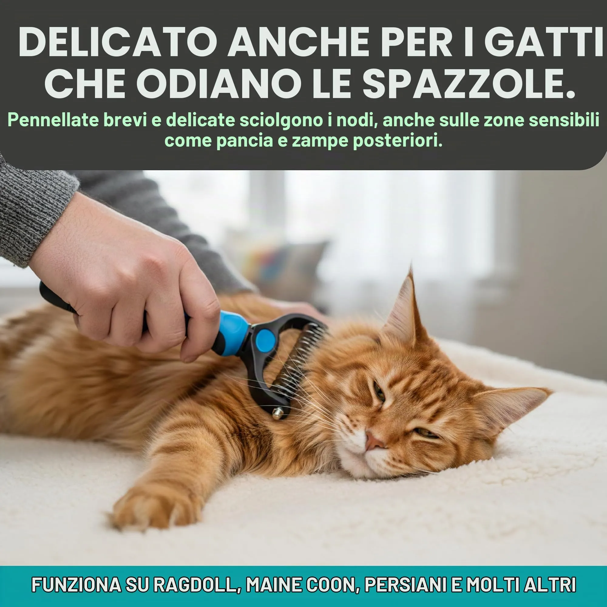 Maxpower Planet Pet Grooming Tool, Doppio Lato ed Extra Largo, Blu - immagine 4