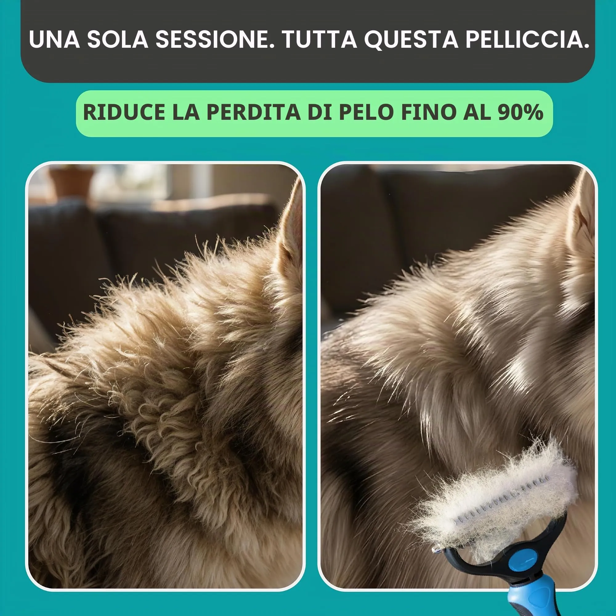 Maxpower Planet Pet Grooming Tool, Doppio Lato ed Extra Largo, Blu - immagine 5