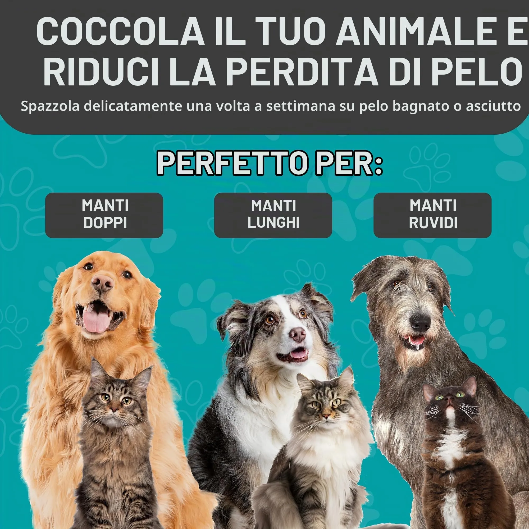 Maxpower Planet Spazzola per Capelli Bifacciale per Cani e Gatti, Pelo Extra Largo, Rosa - immagine 4