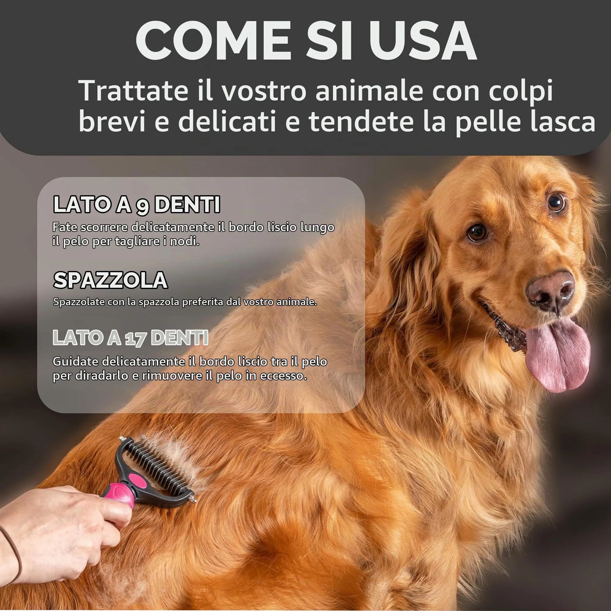 Maxpower Planet Spazzola per Capelli Bifacciale per Cani e Gatti, Pelo Extra Largo, Rosa - immagine 5