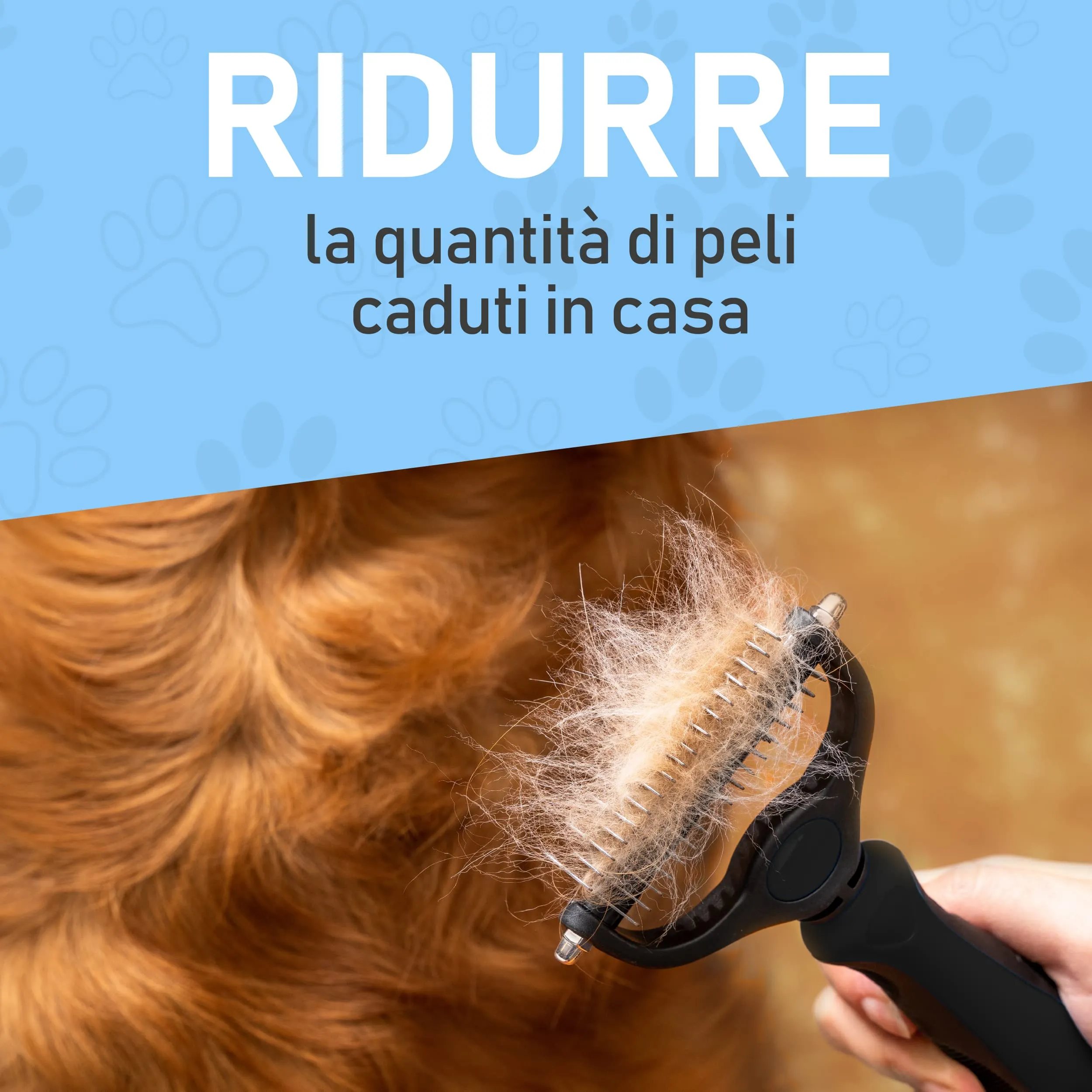 Maxpower Planet Spazzola per cani e gatti a pelo lungo, rastrello per sottopelo e districatore, nero - immagine 3