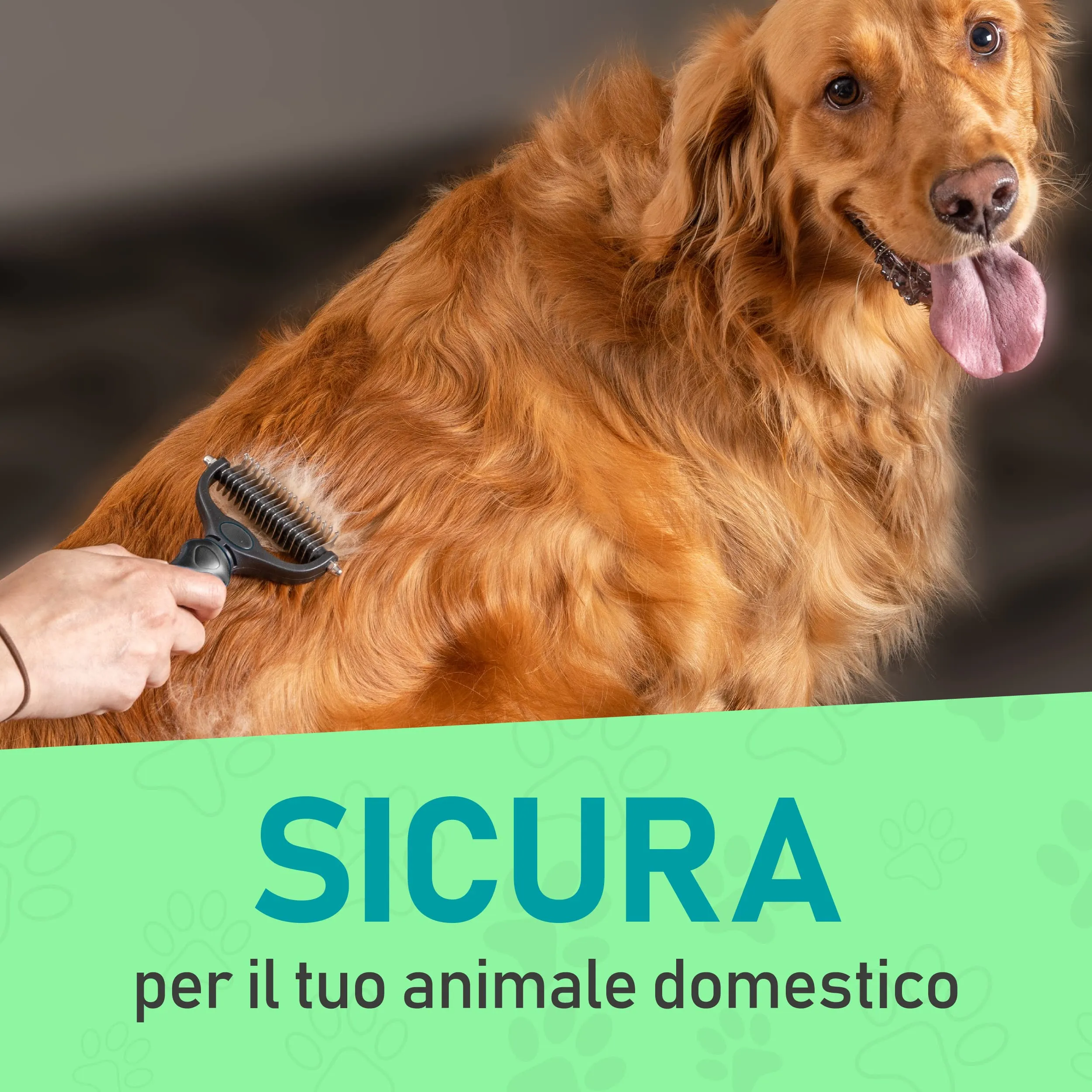 Maxpower Planet Spazzola per cani e gatti a pelo lungo, rastrello per sottopelo e districatore, nero - immagine 5