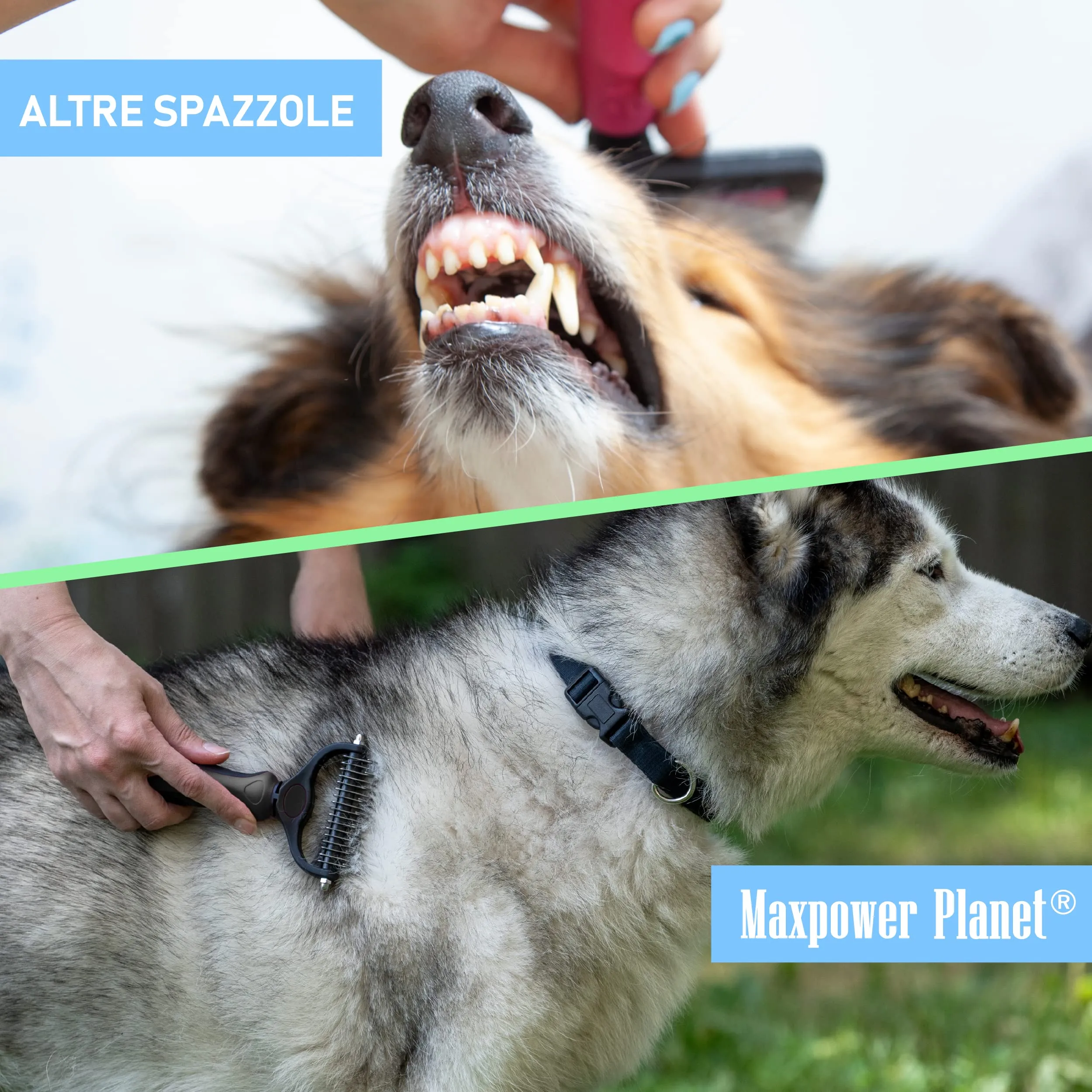Maxpower Planet Spazzola per cani e gatti a pelo lungo, rastrello per sottopelo e districatore, nero - immagine 8