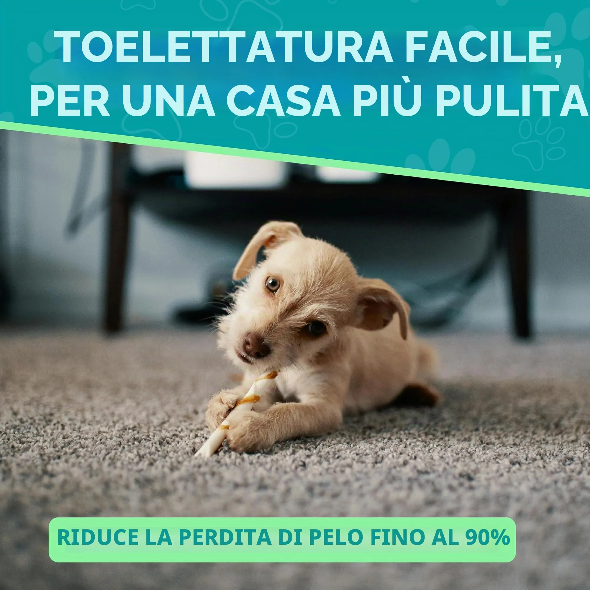 Maxpower Planet Spazzola per Toelettatura Animali Domestici, Pettine a Doppio Lato per Sottopelo Cani e Gatti, Large, Bianco - immagine 6