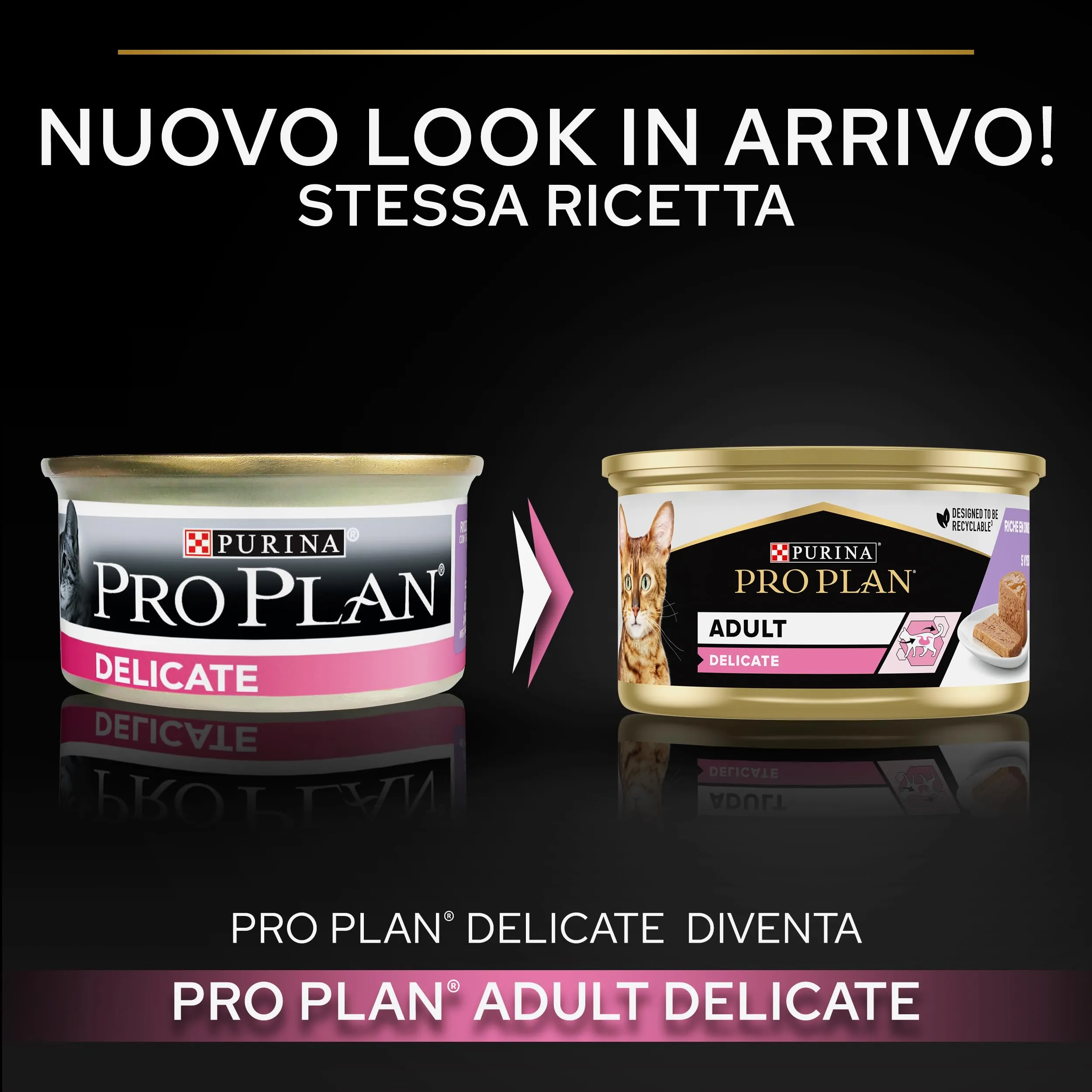 Purina Pro Plan Delicate Digestion Cibo Umido per Gatti, 12 Lattine da 85g - immagine 3