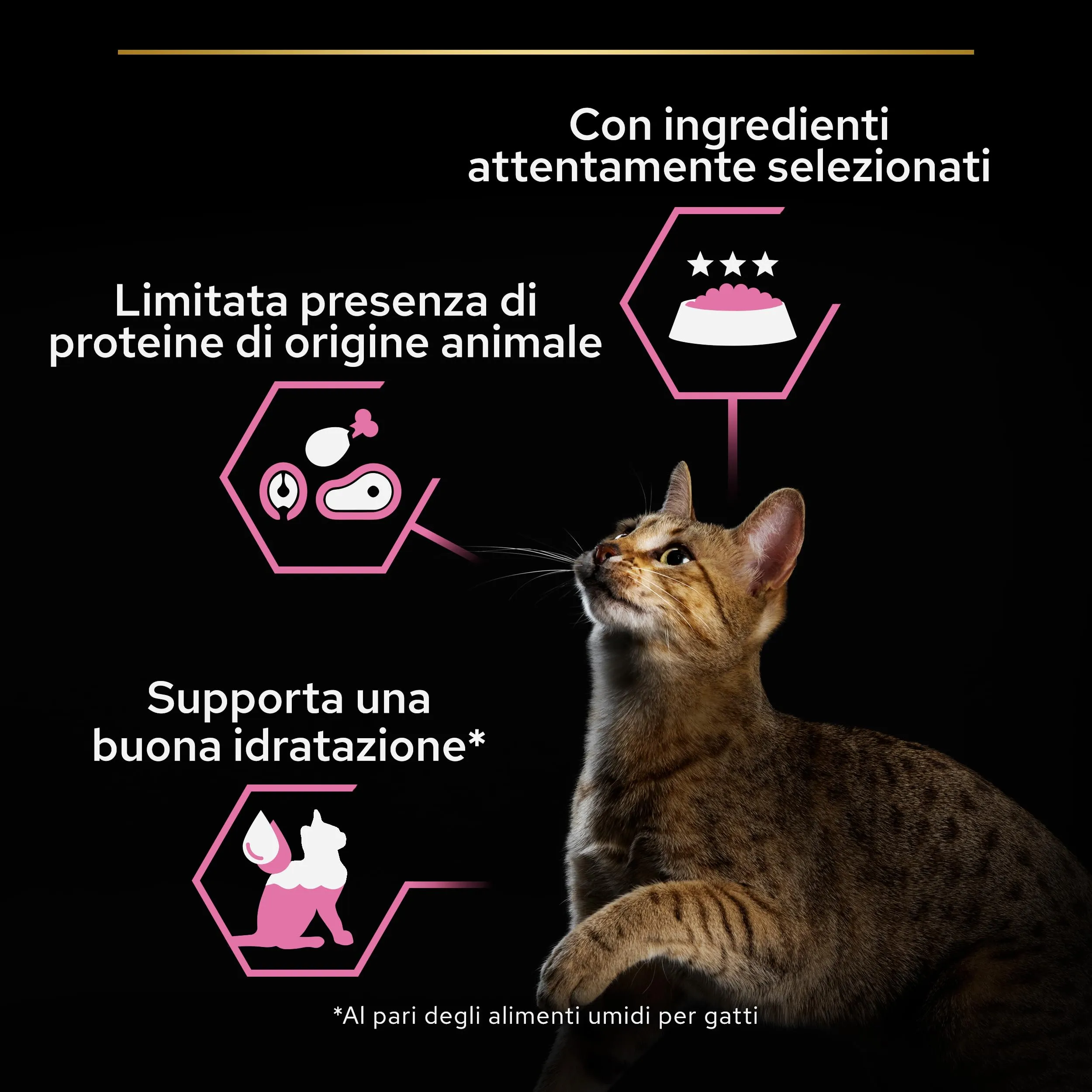 Purina Pro Plan Delicate Digestion Cibo Umido per Gatti, 12 Lattine da 85g - immagine 4