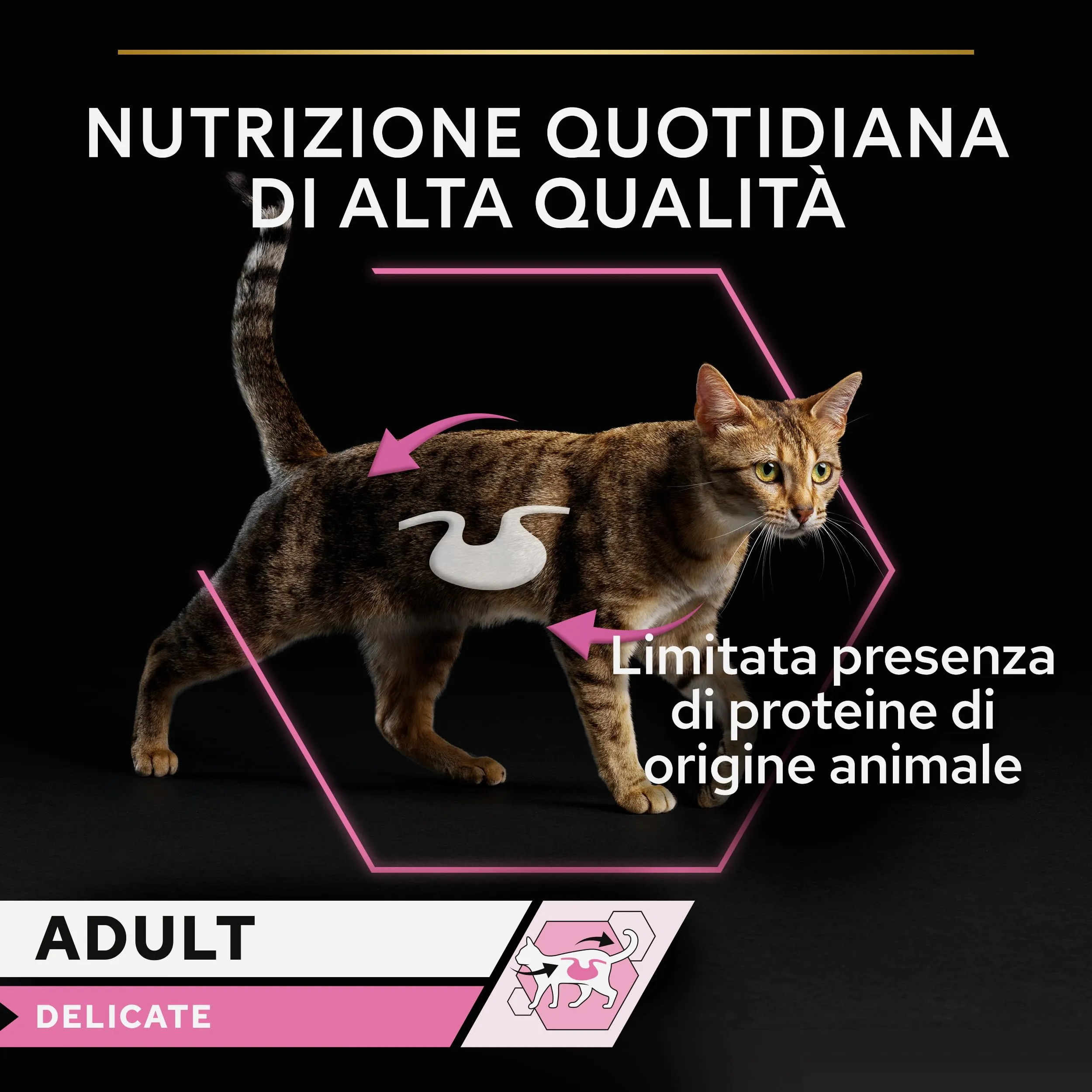 Purina Pro Plan Delicate Digestion Cibo Umido per Gatti, 12 Lattine da 85g - immagine 5