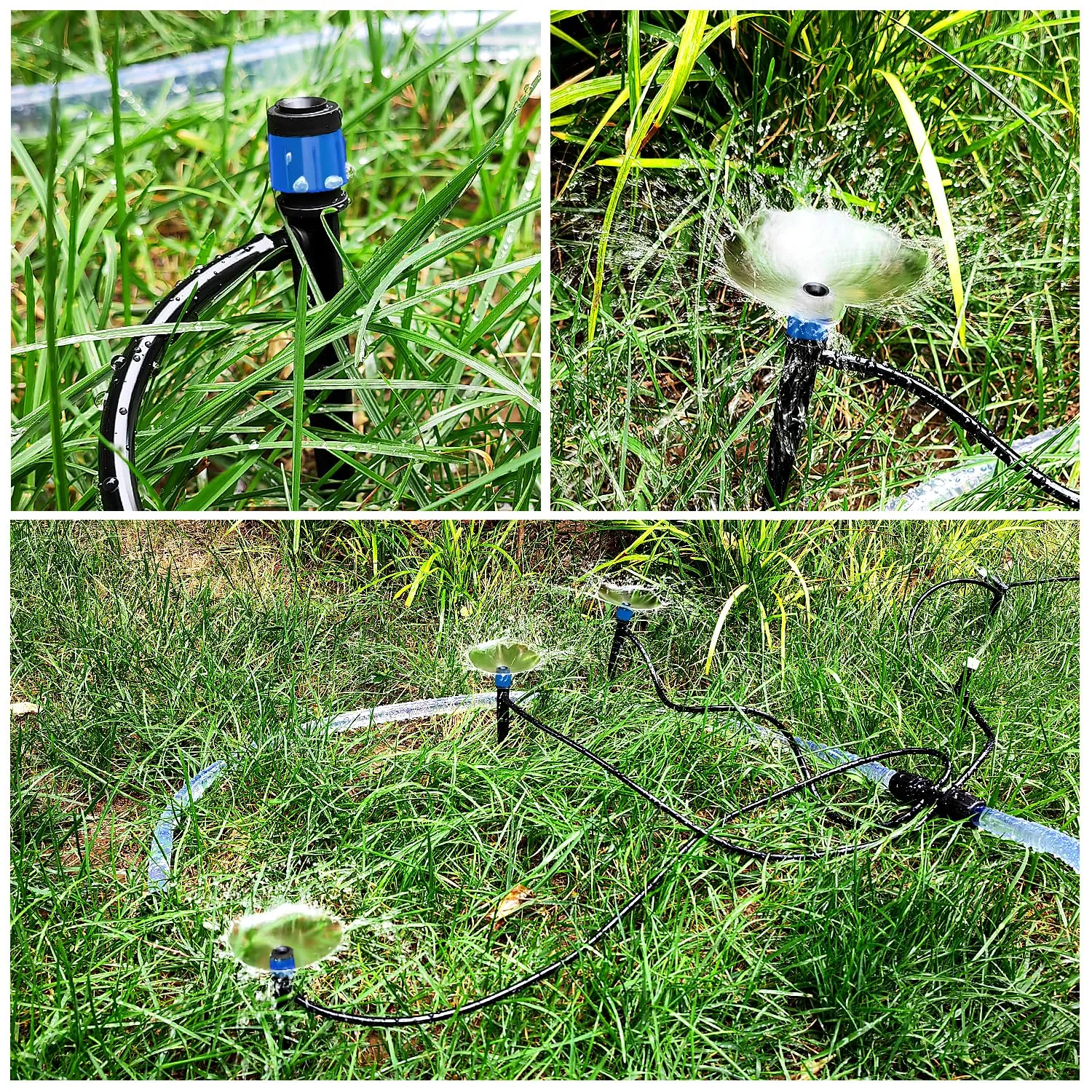 VooGenzek Gocciolatori per Irrigazione Regolabili a 360 Gradi con Connettore e Staffa per Tubo 4/7 mm, 50 Pezzi, Blu - immagine 6