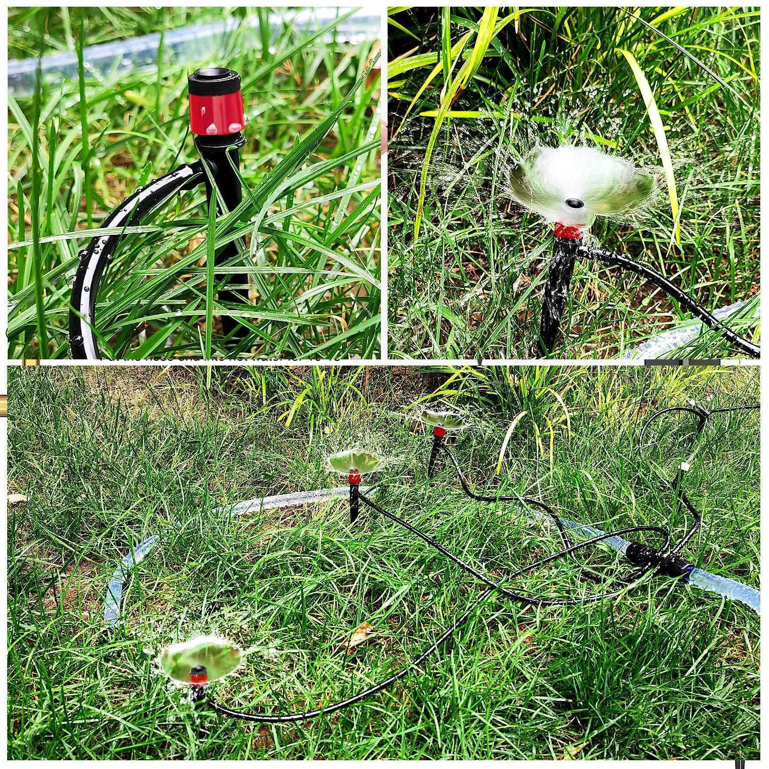 VooGenzek Gocciolatori di Irrigazione Regolabili 360 Gradi con Connettore e Staffa per Tubo 4/7 mm, 50 Pezzi, Rosso - immagine 6
