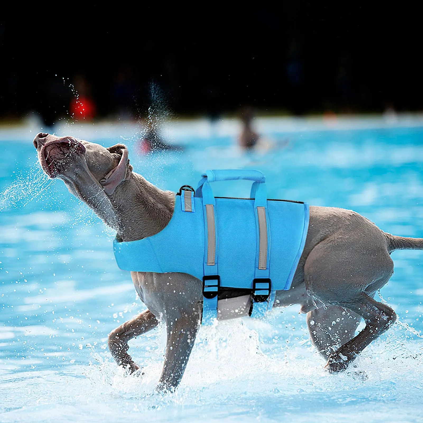 PUZAUKAL Giubbotto Salvagente per Cane con Ripstop e Cerniera sul Dorso, Taglia XXL, Blu - immagine 3