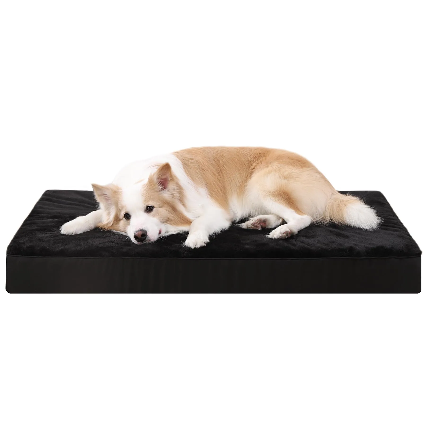 KSIIA Cuccia Cane Interno, 88x55x7cm, Nero - immagine 1