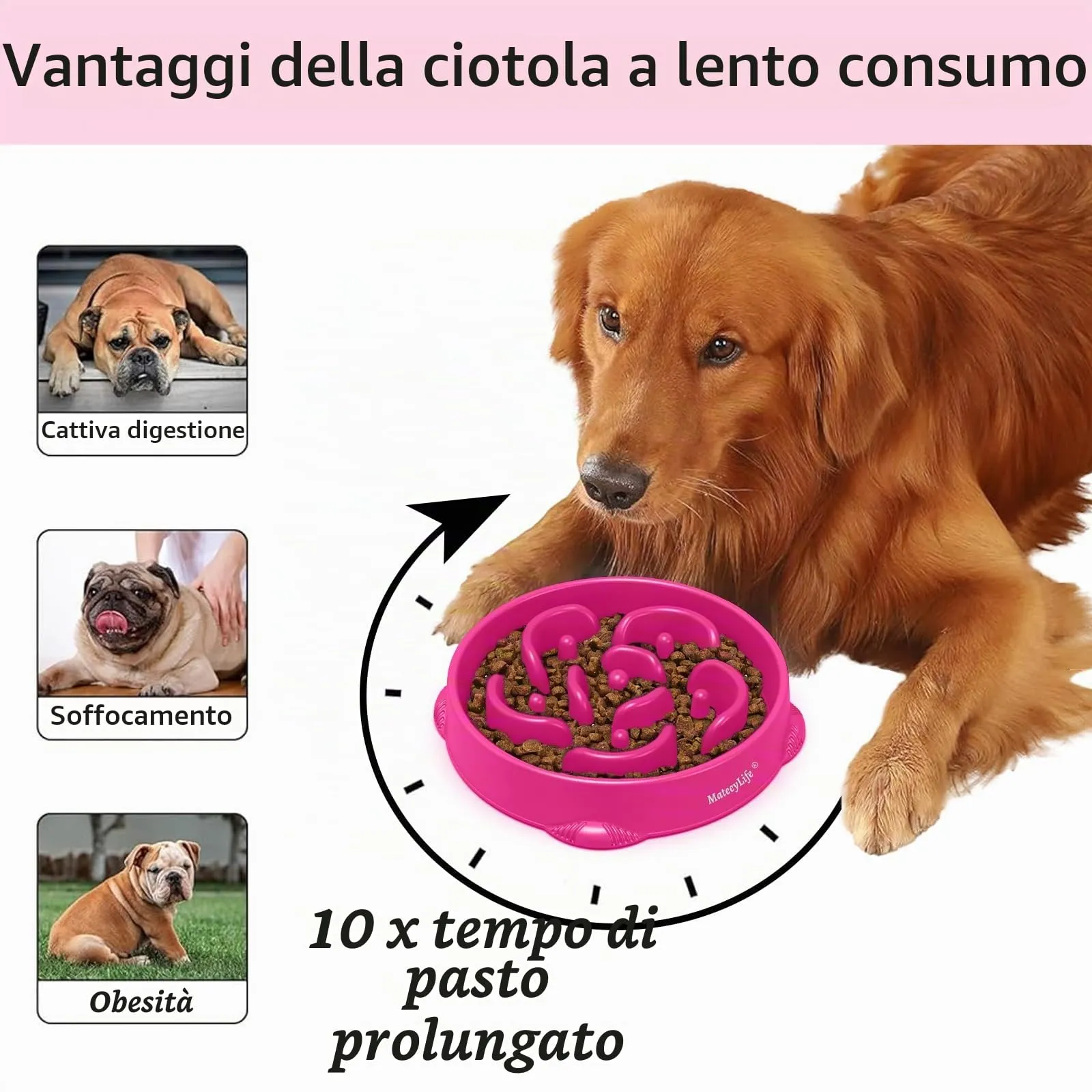 MateeyLife Ciotole per cani alimentazione lenta, anti-soffocamento e antiscivolo, labirinto per razze grandi, 4 tazze, viola - immagine 2