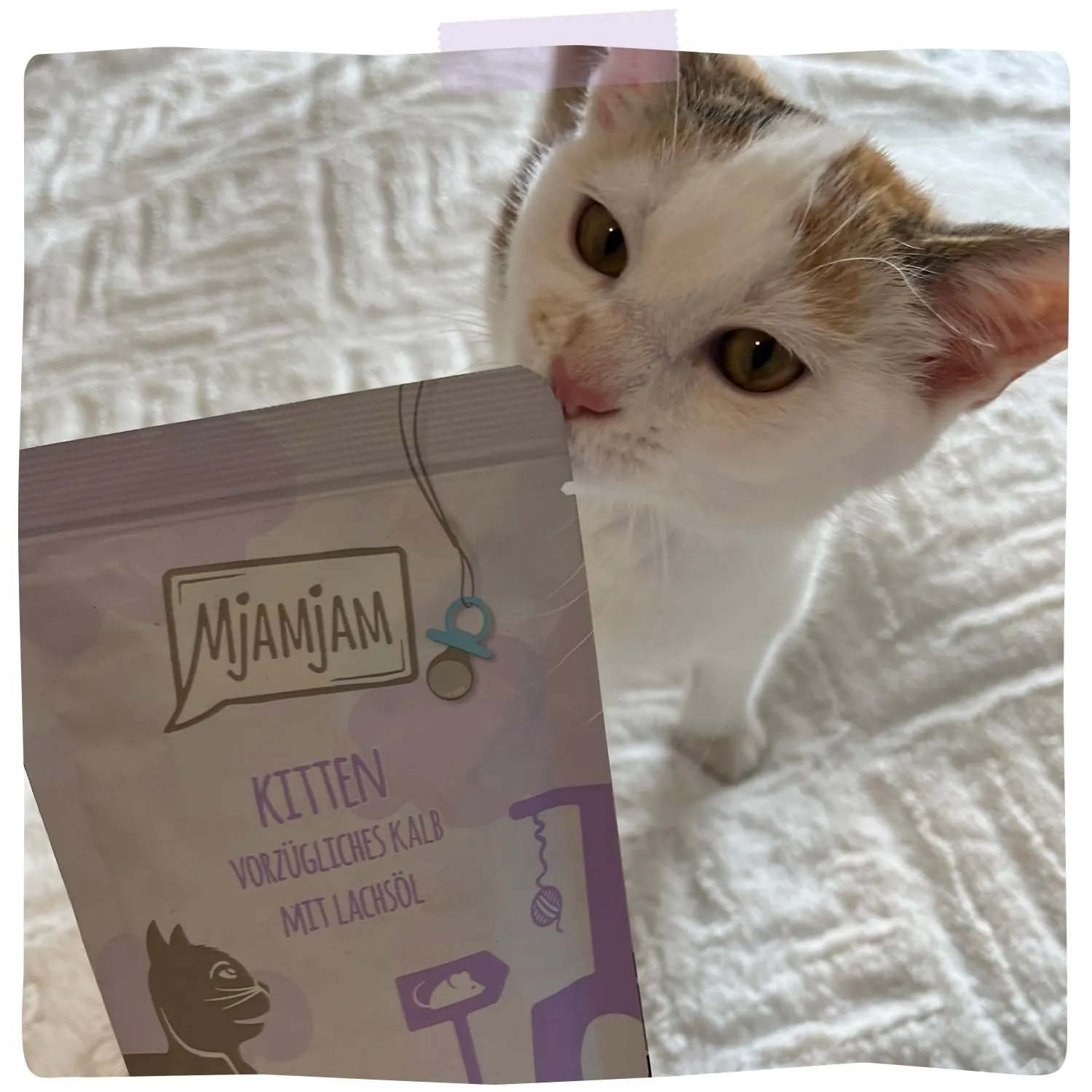 MjAMjAM Quetschie Gattino Vitello con Olio di Salmone, senza cereali, 12 x 125 g - immagine 6