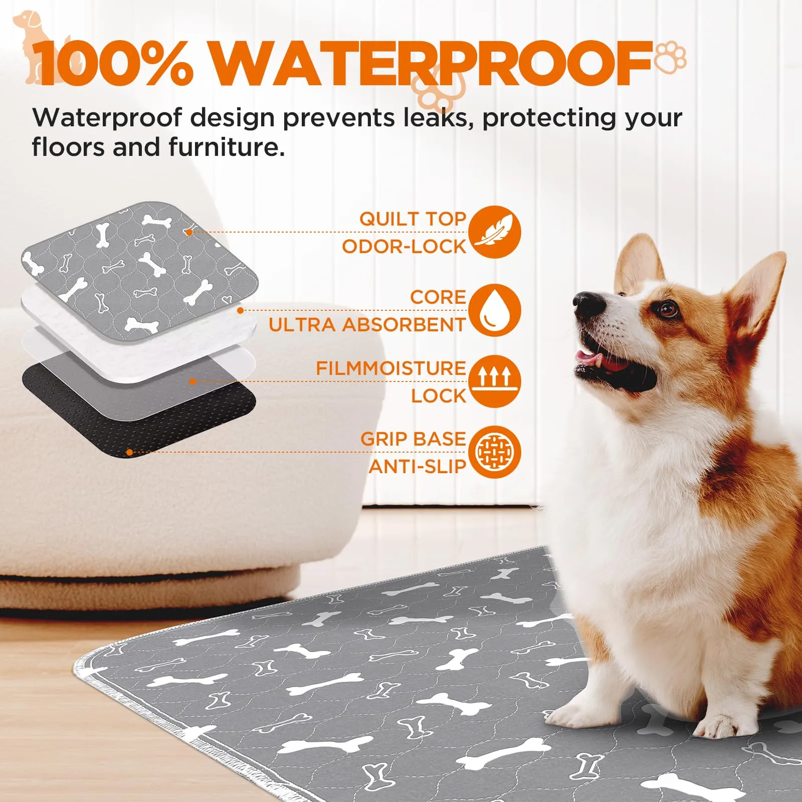 BaoDan Traversine Lavabili per Cani, 60x60 cm, 2 Pezzi - immagine 2