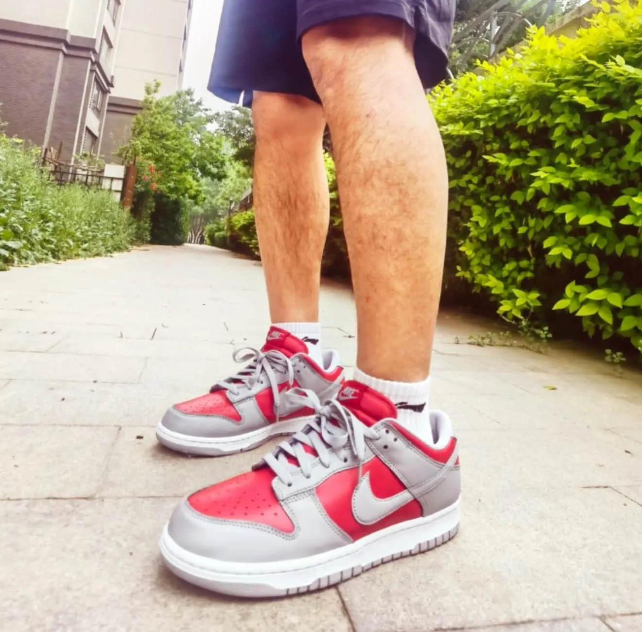 Nike Nike Dunk Uomo - immagine 2