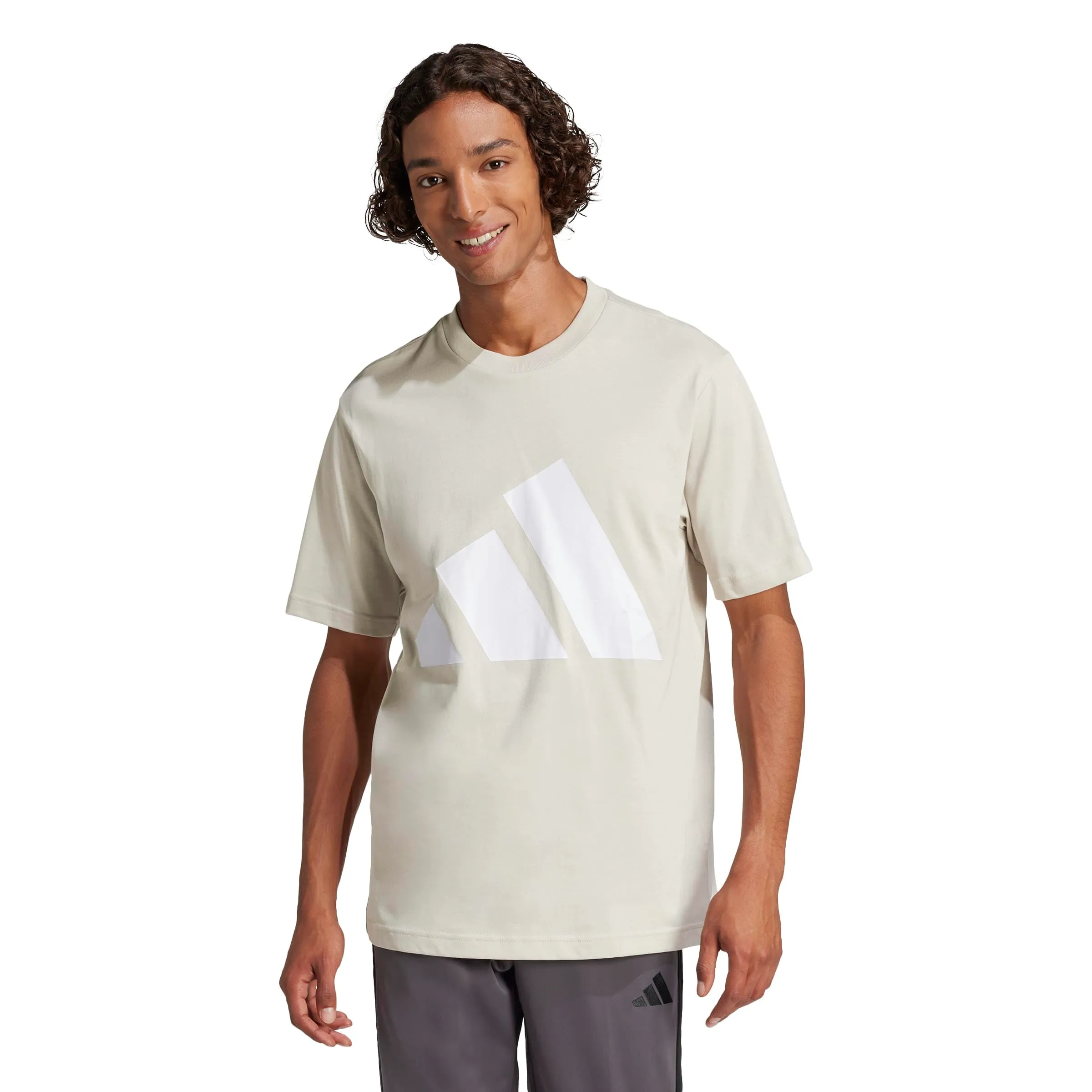Adidas Homme Essentials Big Logo Single Jersey Tee, Wonder Alumina/White, S - immagine 2