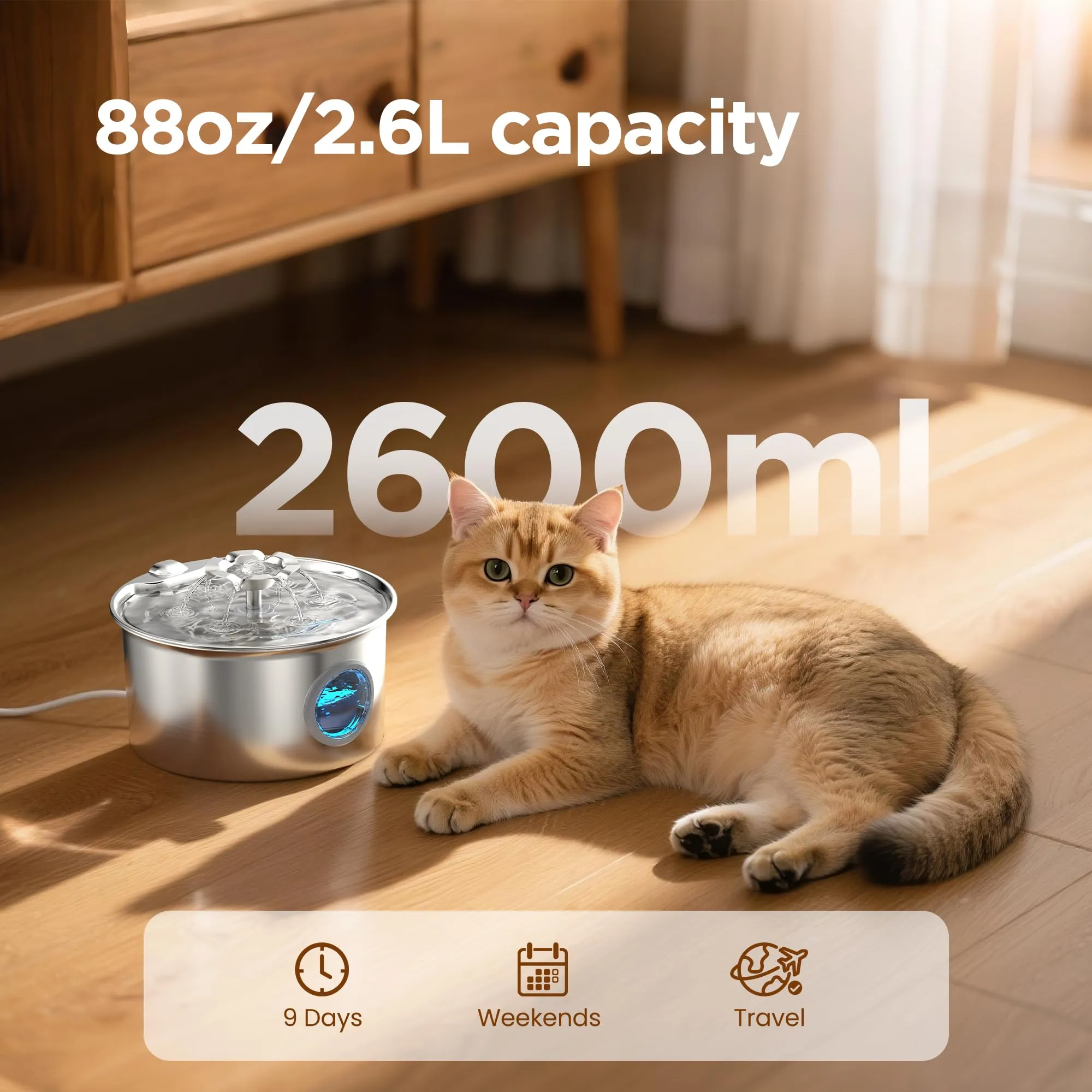 IHOUONE Fontanella Gatti in Acciaio Inossidabile S16-pro, Distributore Acqua Automatico 2.6L con Cascata a Fiore, 6 Filtri e 3 Spugne - immagine 2