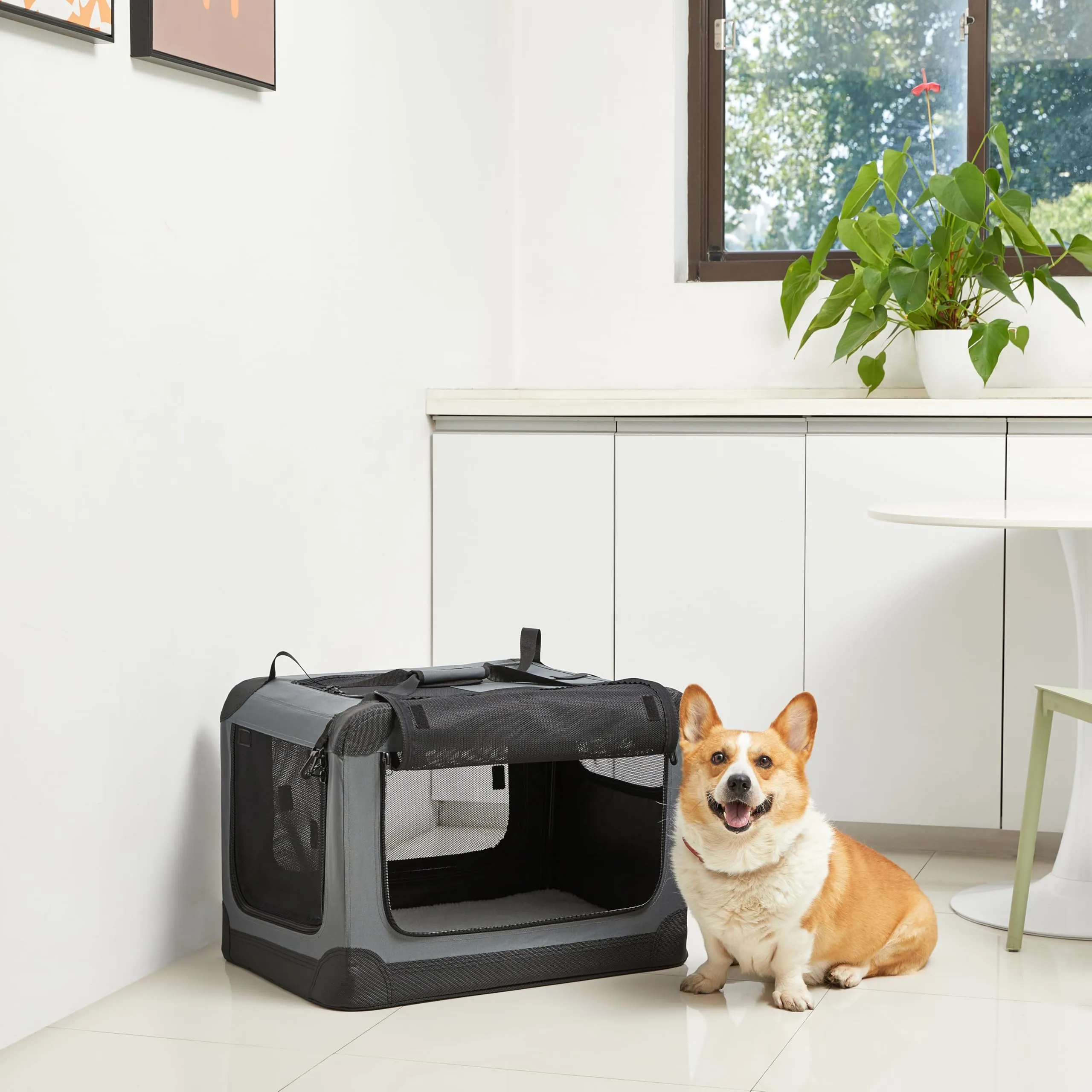 Amazon Basics Trasportino portatile e pieghevole a 4 porte per cani e gatti, Grigio, 66 x 46 x 46 cm - immagine 7