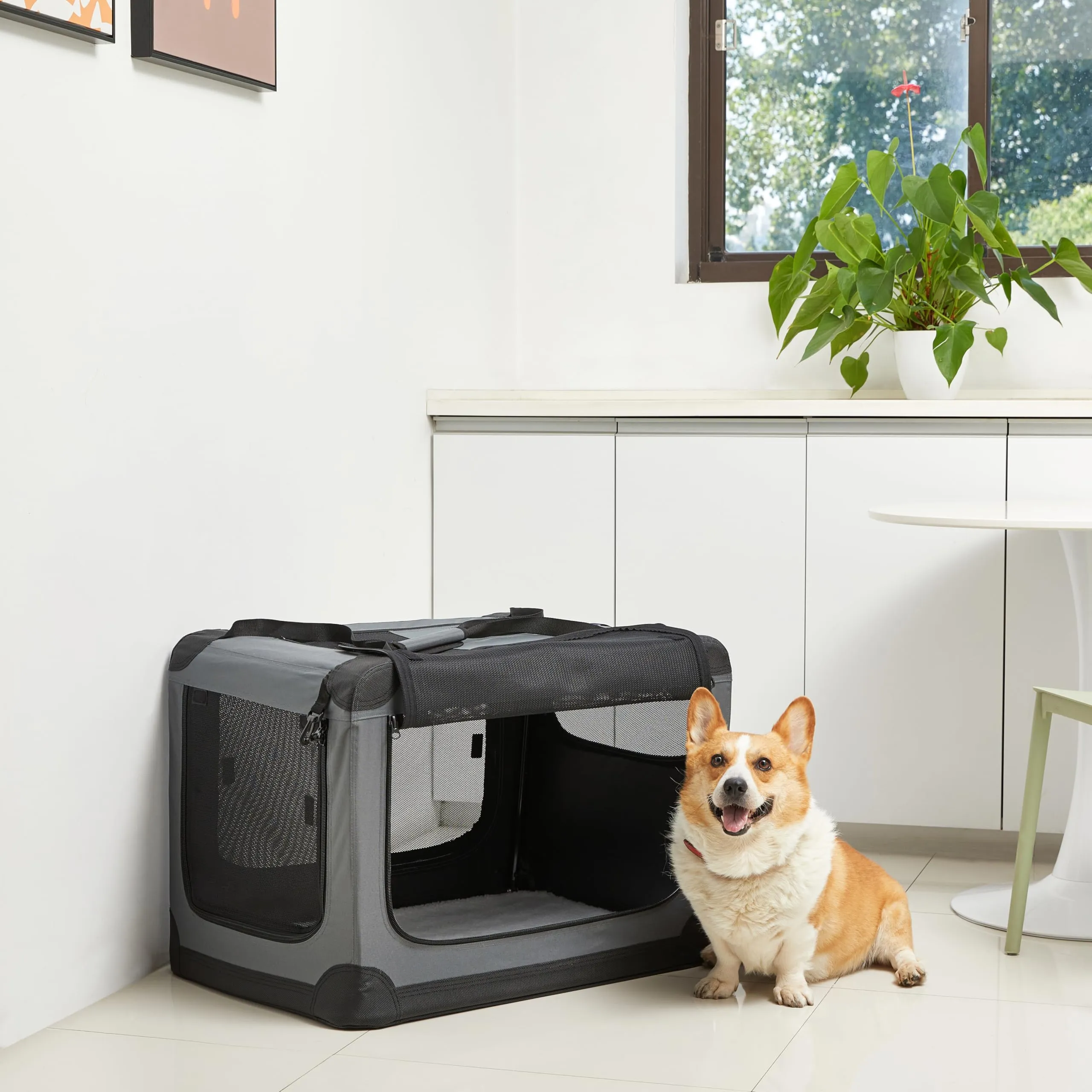Amazon Basics Trasportino portatile e pieghevole a 4 porte per cani e gatti, Grigio, M (76 x 54 x 54 cm) - immagine 7