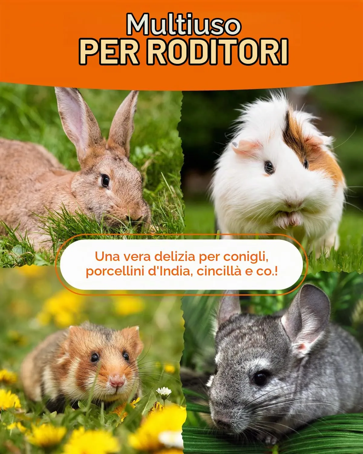 petifool Verdura da Giardino Fodera per Roditori, 530 g - immagine 3