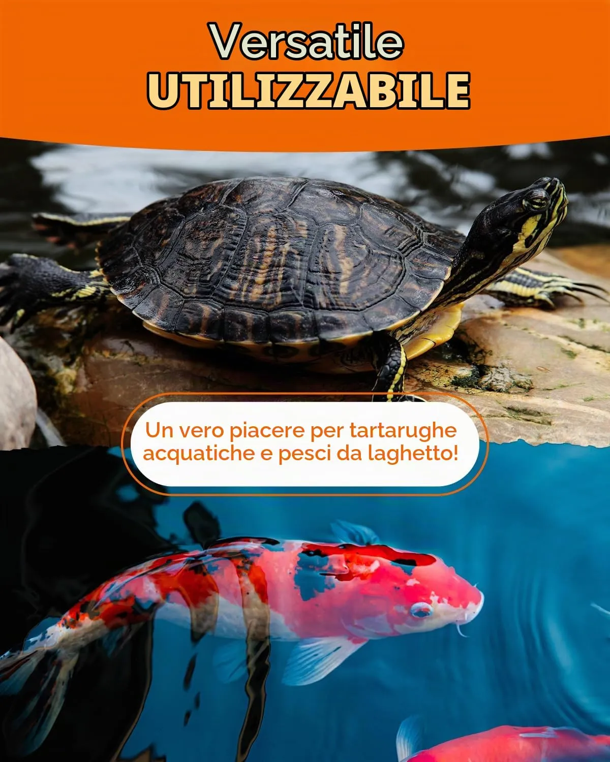 Petifool Koi Exquisit, 1 kg - immagine 3