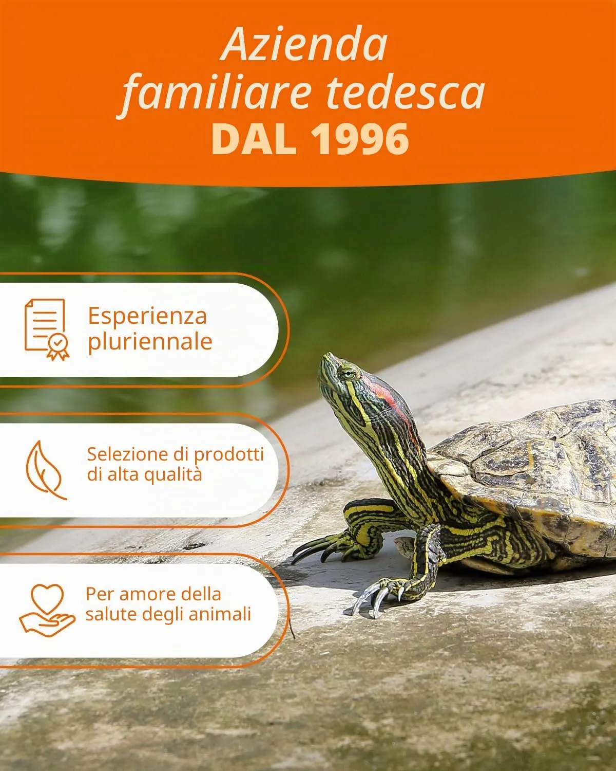Petifool Koi Exquisit, 1 kg - immagine 7