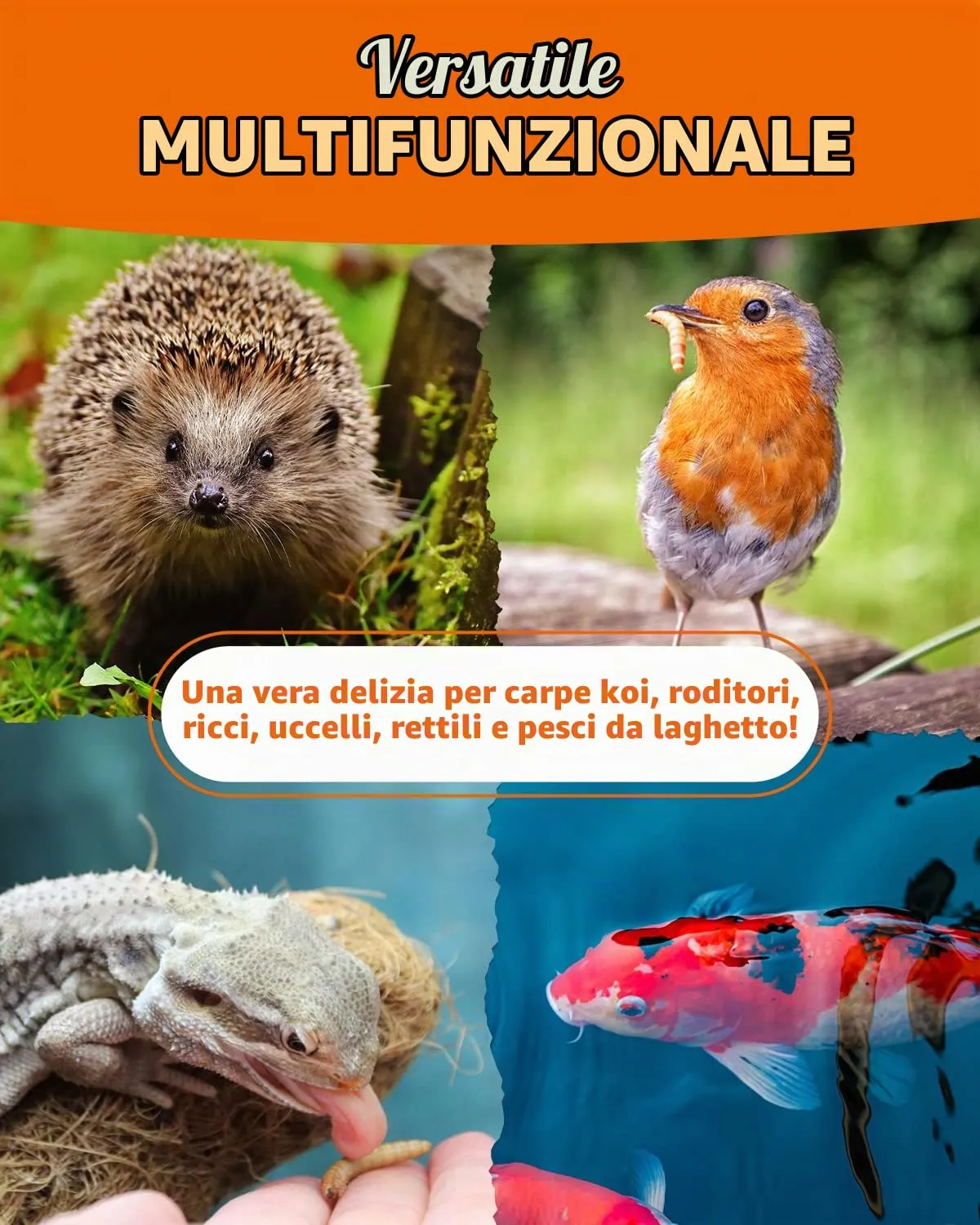 petifool Vermi di farina, 800 g - immagine 3