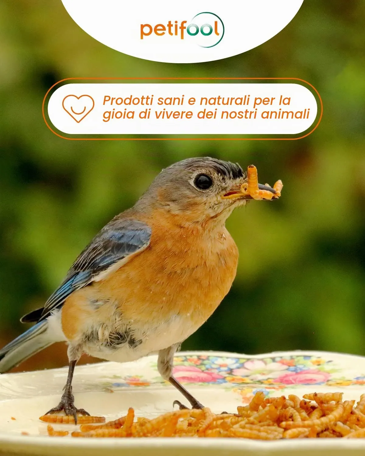 petifool Vermi di farina, 800 g - immagine 5