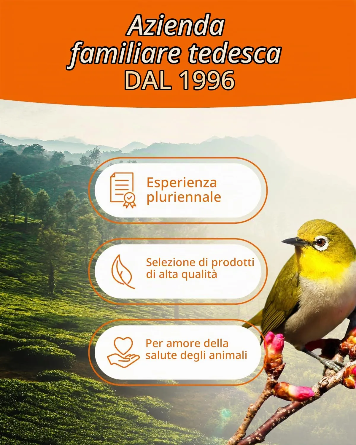 petifool Vermi di farina, 800 g - immagine 7