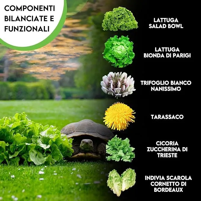 ZOMA Mix Semi per Tartarughe di Terra, 6 Erbe con Tarassaco, Trifoglio e Lattuga (2 Buste da 15 gr) - immagine 3