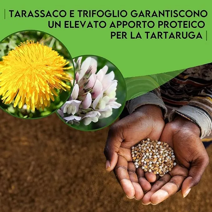 ZOMA Mix Semi per Tartarughe di Terra, 6 Erbe con Tarassaco, Trifoglio e Lattuga (2 Buste da 15 gr) - immagine 4