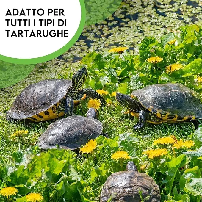 ZOMA Mix Semi per Tartarughe di Terra, 6 Erbe con Tarassaco, Trifoglio e Lattuga (2 Buste da 15 gr) - immagine 5